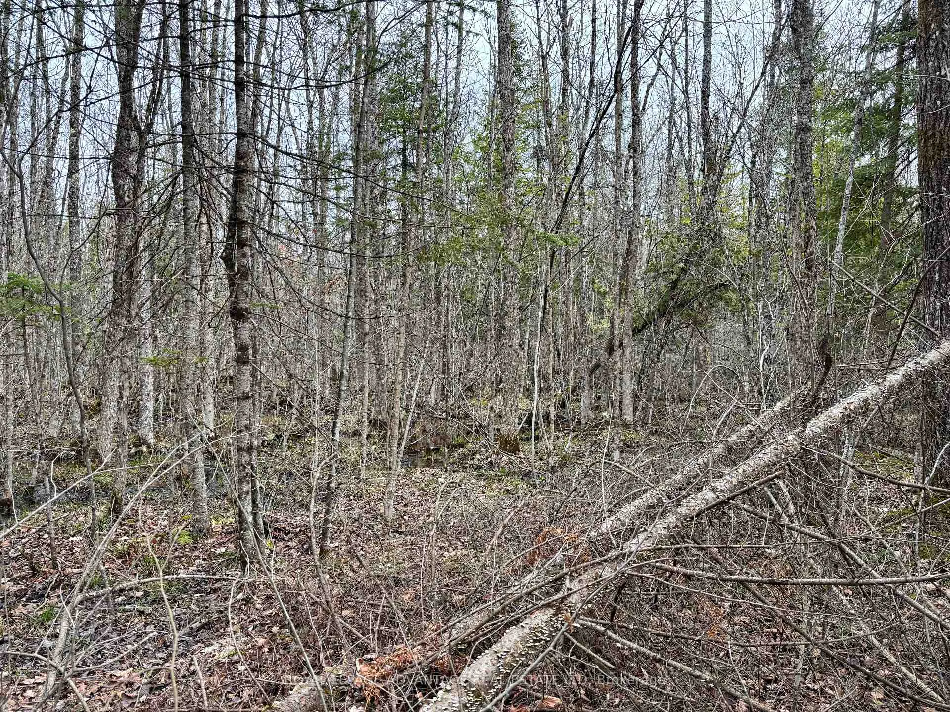 Photo 7 of Dixon Road, Augusta, Augusta Twp — HOMEH