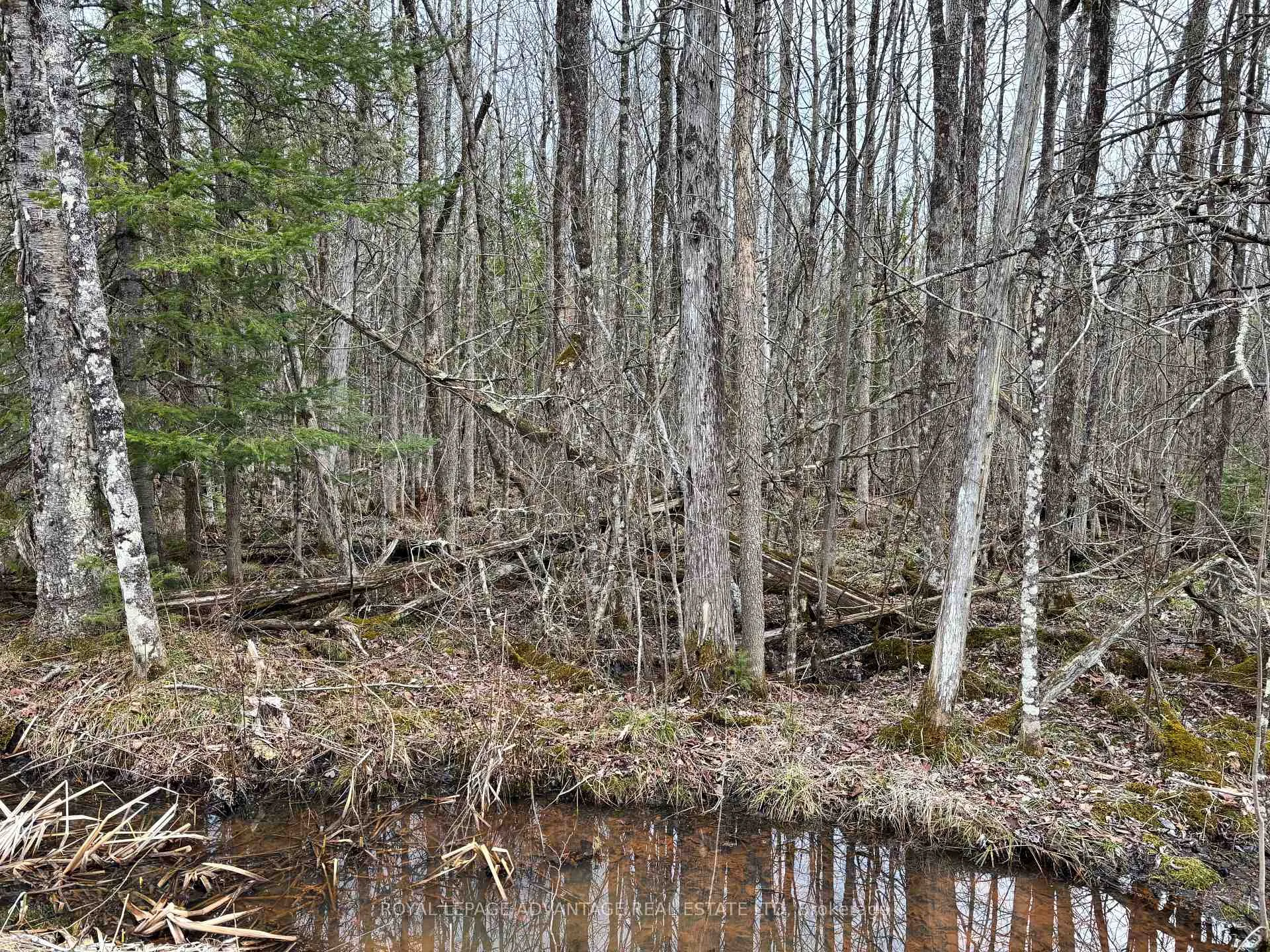Photo 8 of Dixon Road, Augusta, Augusta Twp — HOMEH