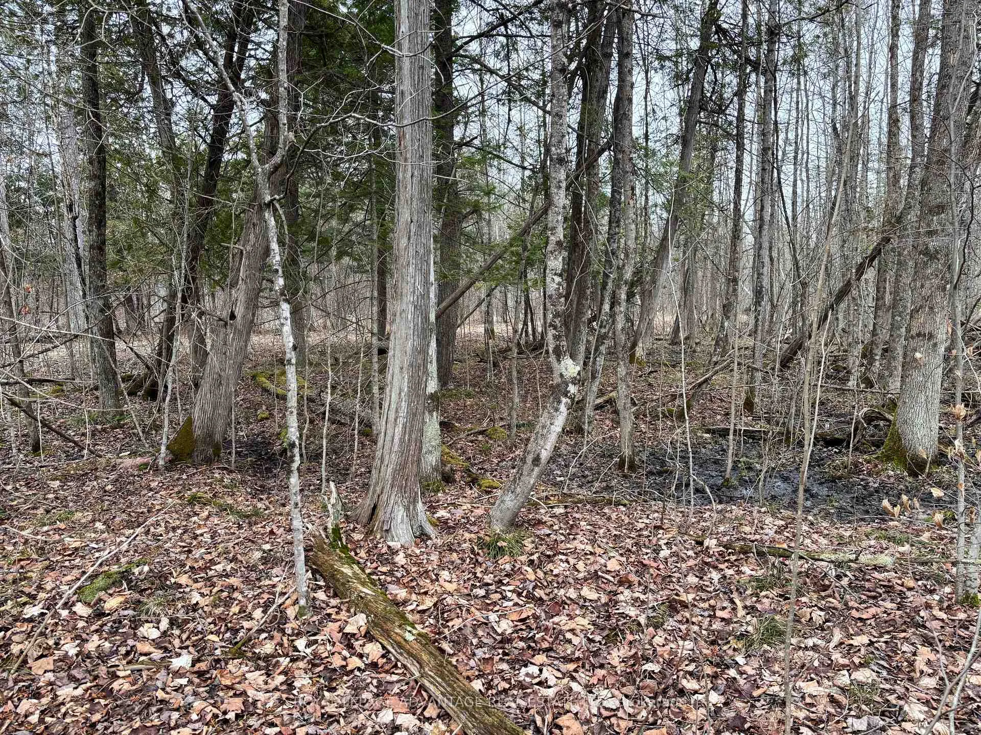 Photo 9 of Dixon Road, Augusta, Augusta Twp — HOMEH