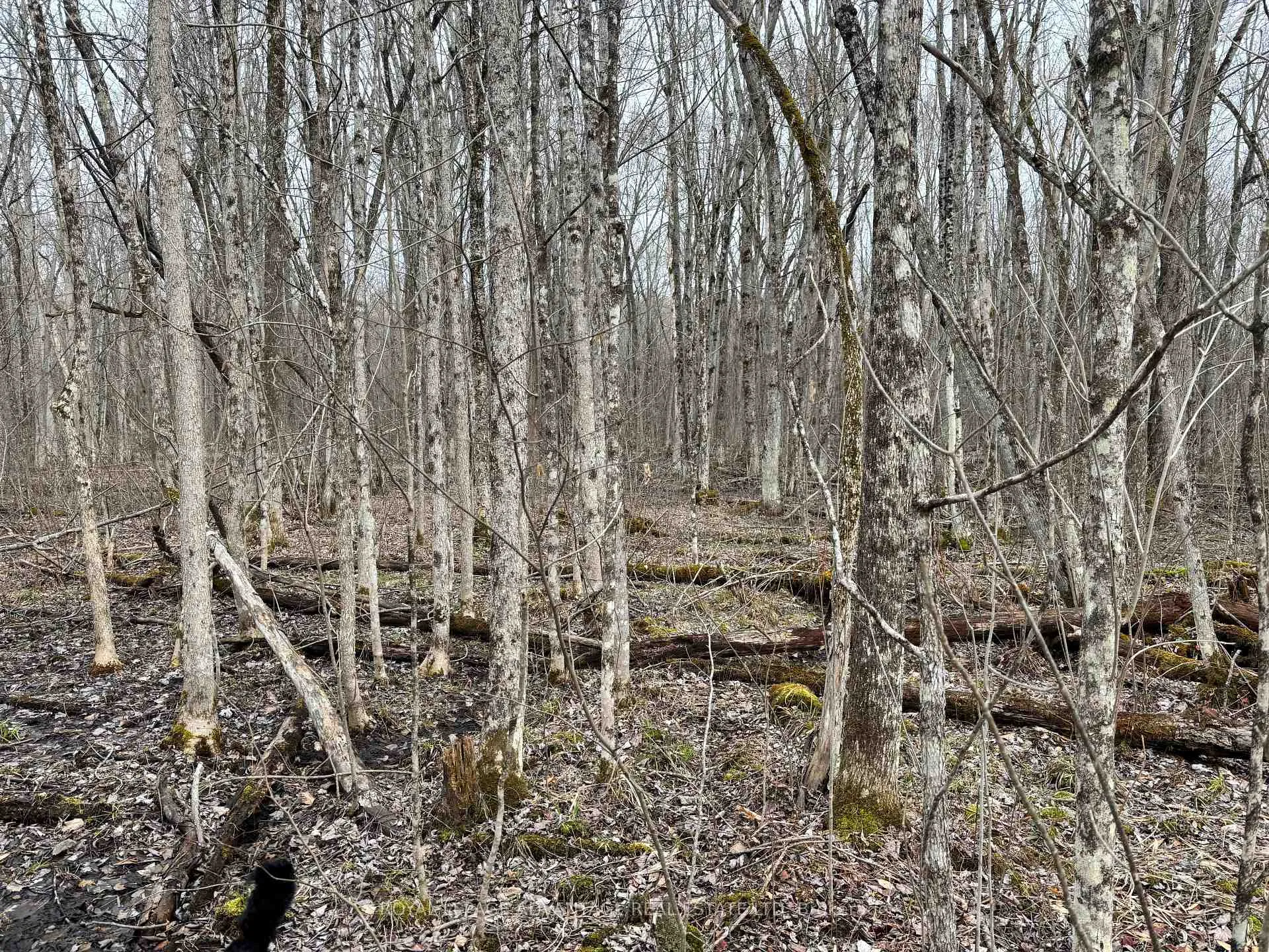 Photo 10 of Dixon Road, Augusta, Augusta Twp — HOMEH