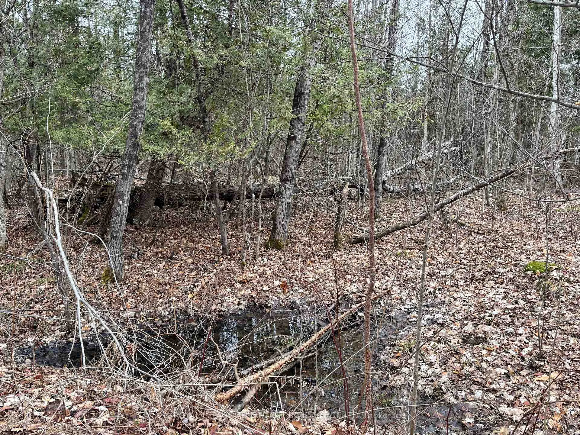 Photo 11 of Dixon Road, Augusta, Augusta Twp — HOMEH