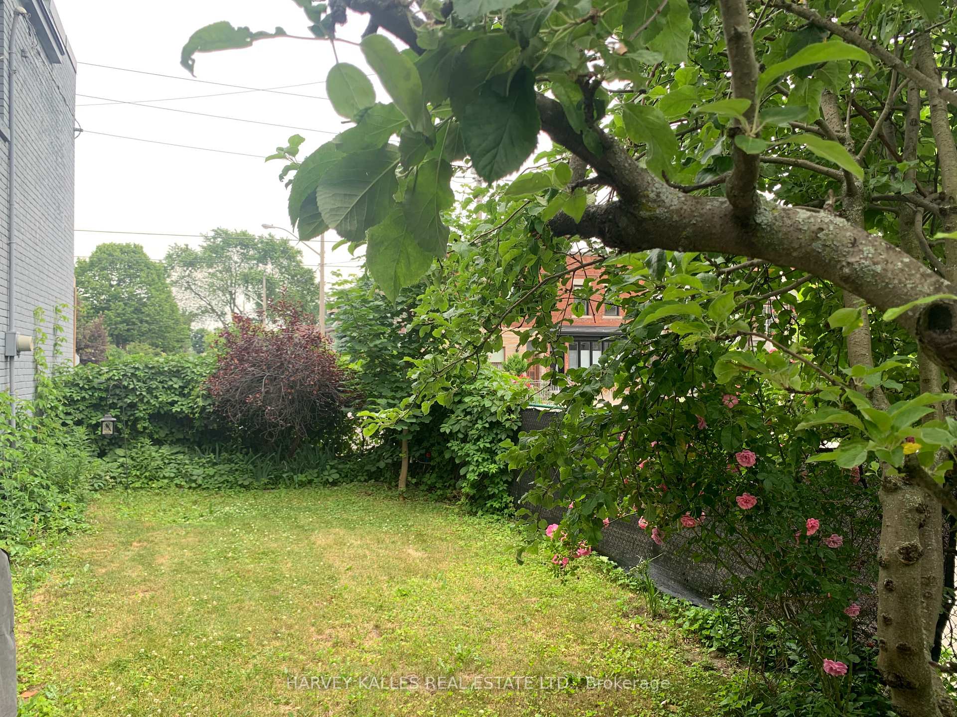 Photo 25 of 256 Sammon Avenue, Toronto, Danforth Village-East York — HOMEH