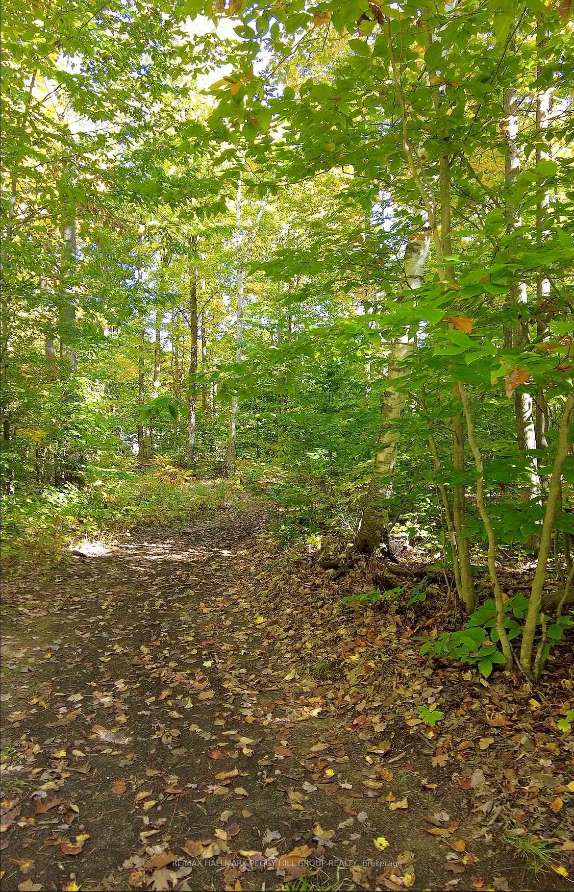 Photo 28 of 350 5 Concession W, Tiny, Rural Tiny — HOMEH