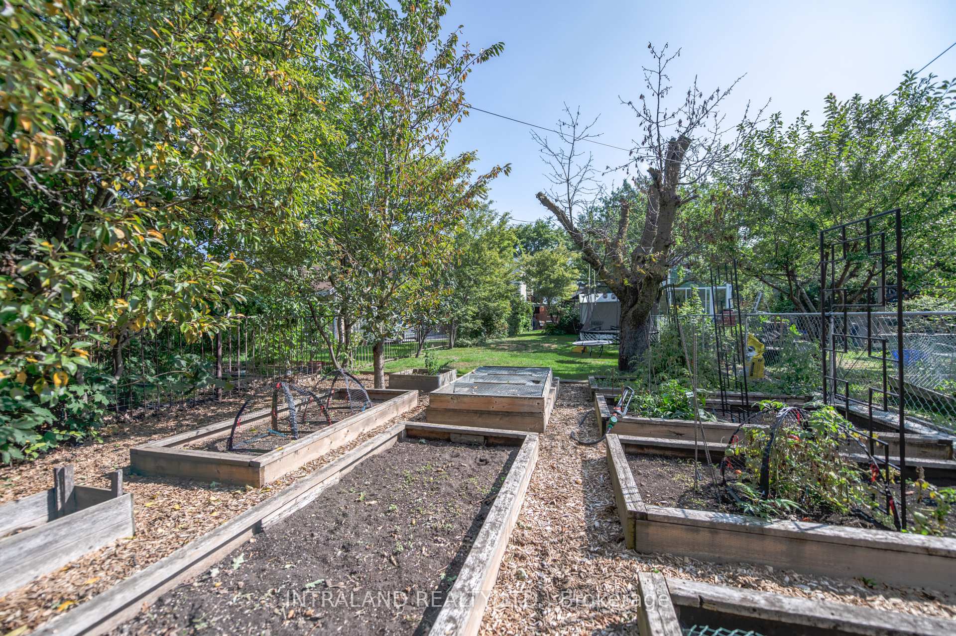 Photo 39 of 98 Atlas Avenue, Toronto, Oakwood Village — HOMEH