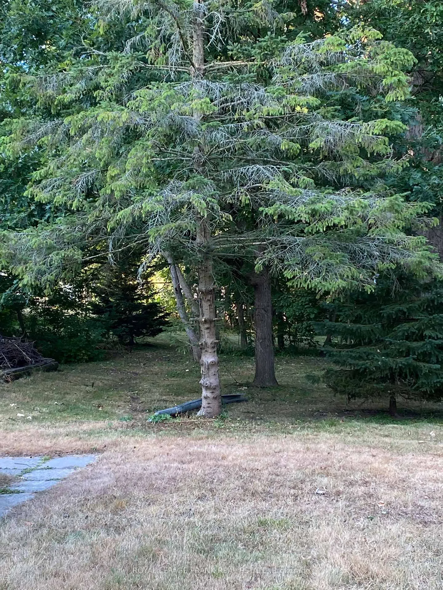 Photo 3 of 199 Barnardo Avenue, Peterborough, Northcrest Ward 5 — HOMEH