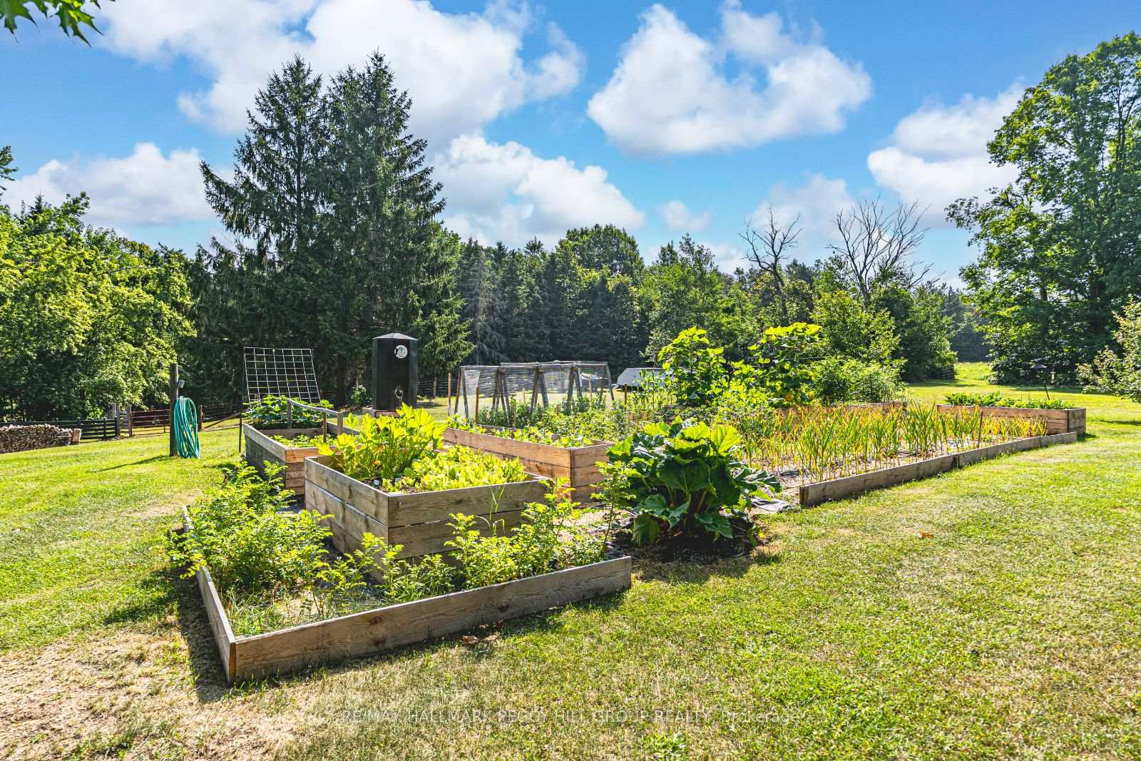 Photo 18 of 5875 Vasey Road, Tay, Rural Tay — HOMEH