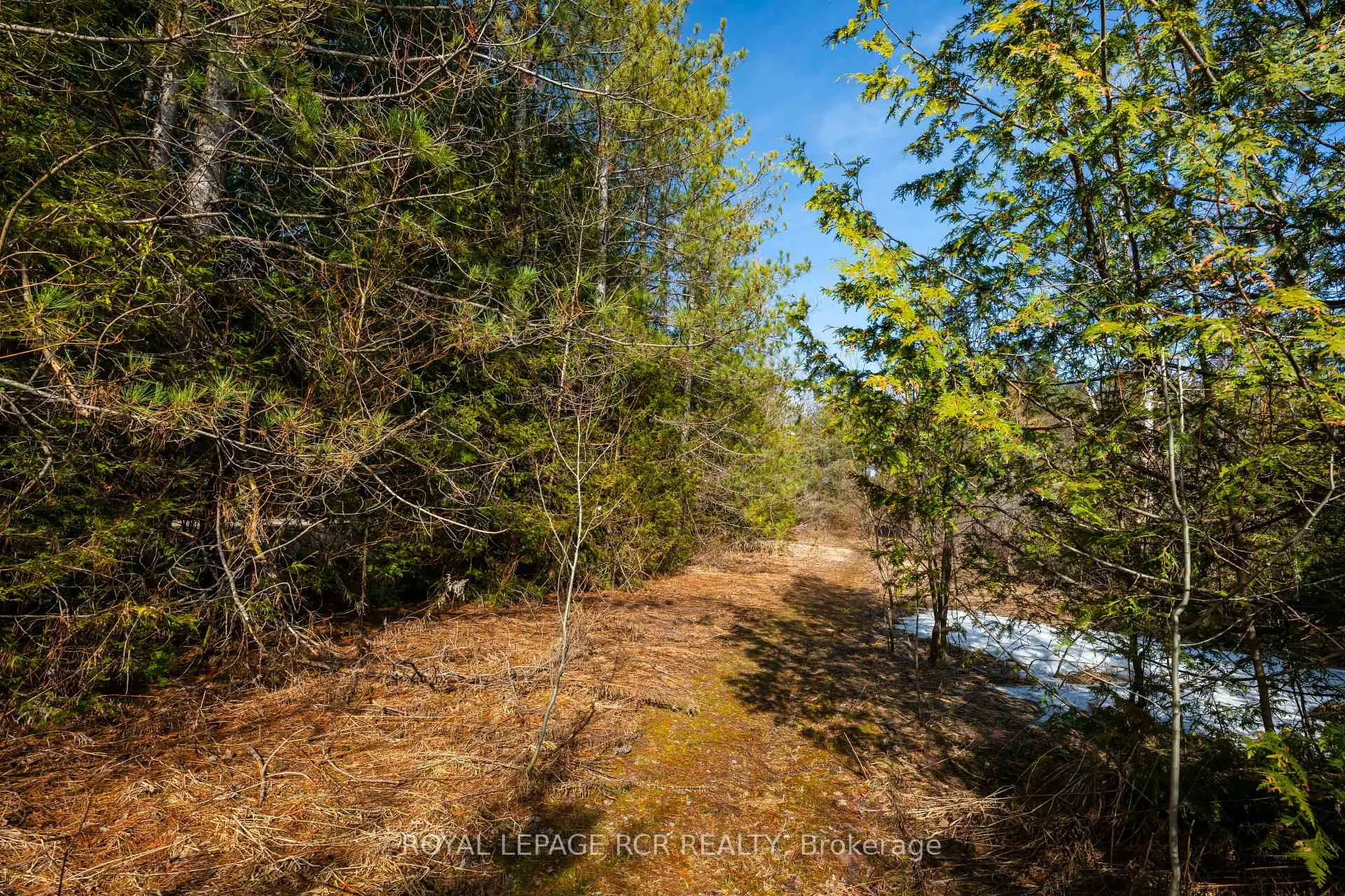 Photo 5 of Third Line, Erin, Rural Erin — HOMEH