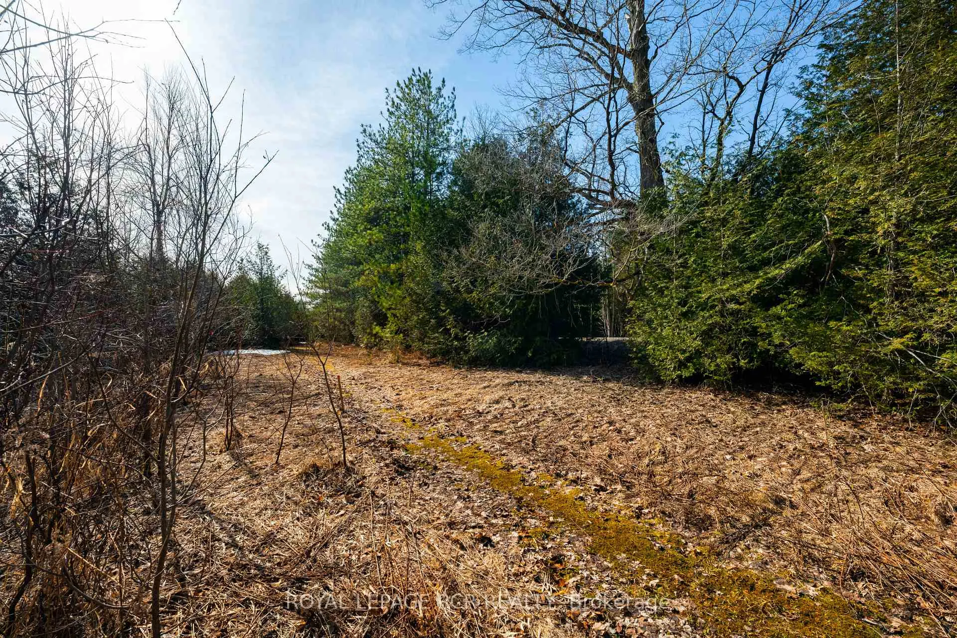 Photo 13 of Third Line, Erin, Rural Erin — HOMEH