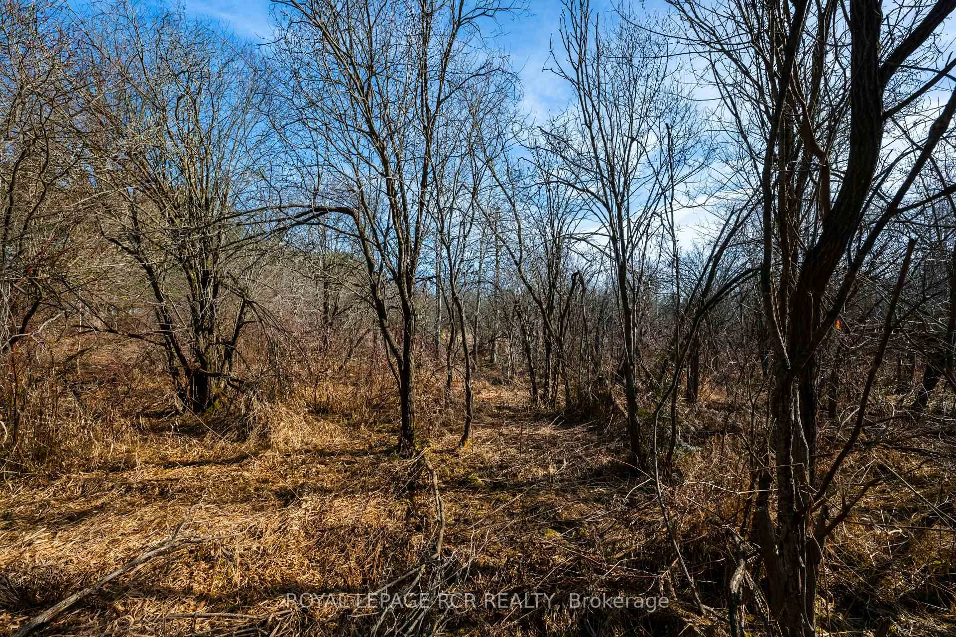 Photo 16 of Third Line, Erin, Rural Erin — HOMEH