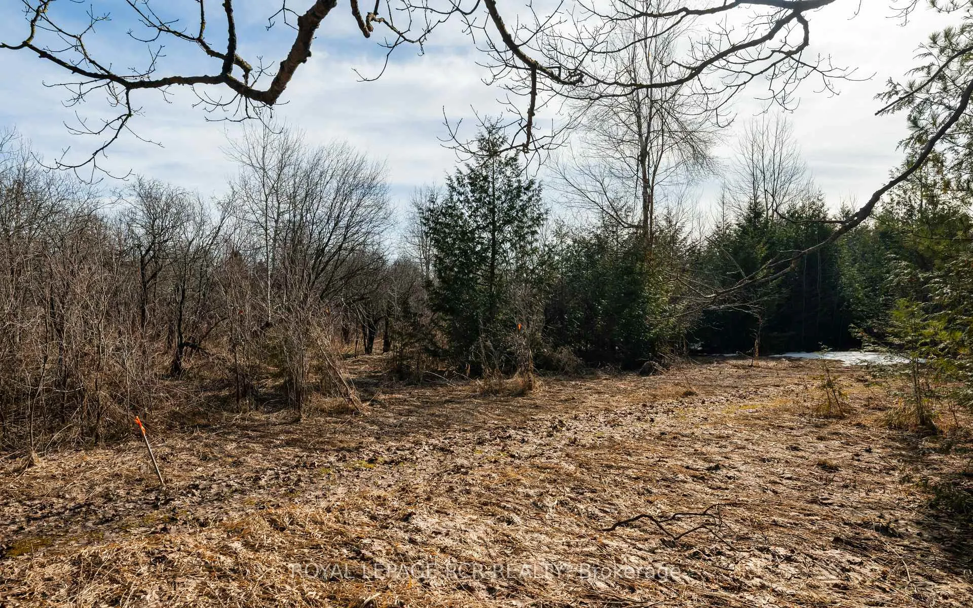 Photo 18 of Third Line, Erin, Rural Erin — HOMEH