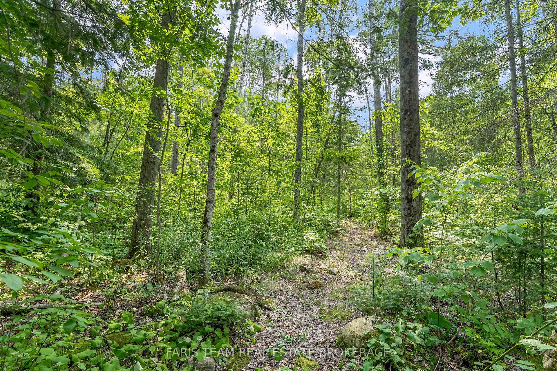 Photo 24 of 457 Silver Birch Drive, Tiny, Rural Tiny — HOMEH