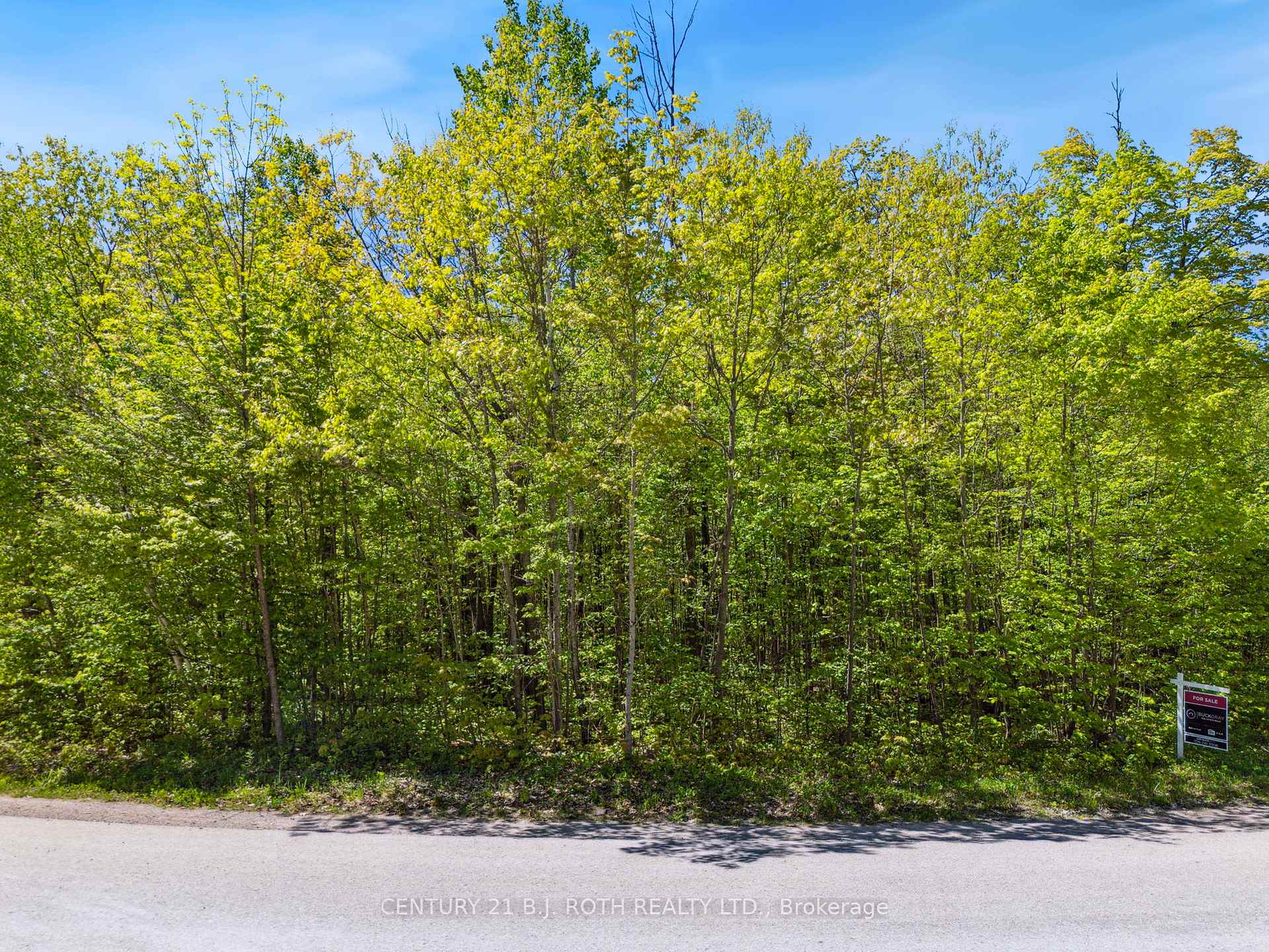 Photo 7 of 26 Meadows Avenue, Tay, Rural Tay — HOMEH