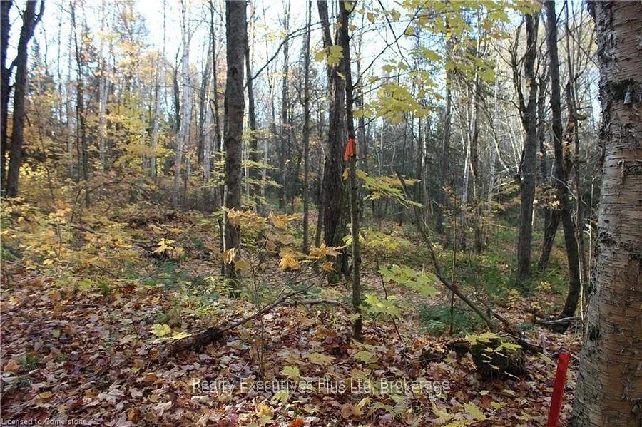Photo 3 of 00 Ottawa Avenue, Machar — HOMEH