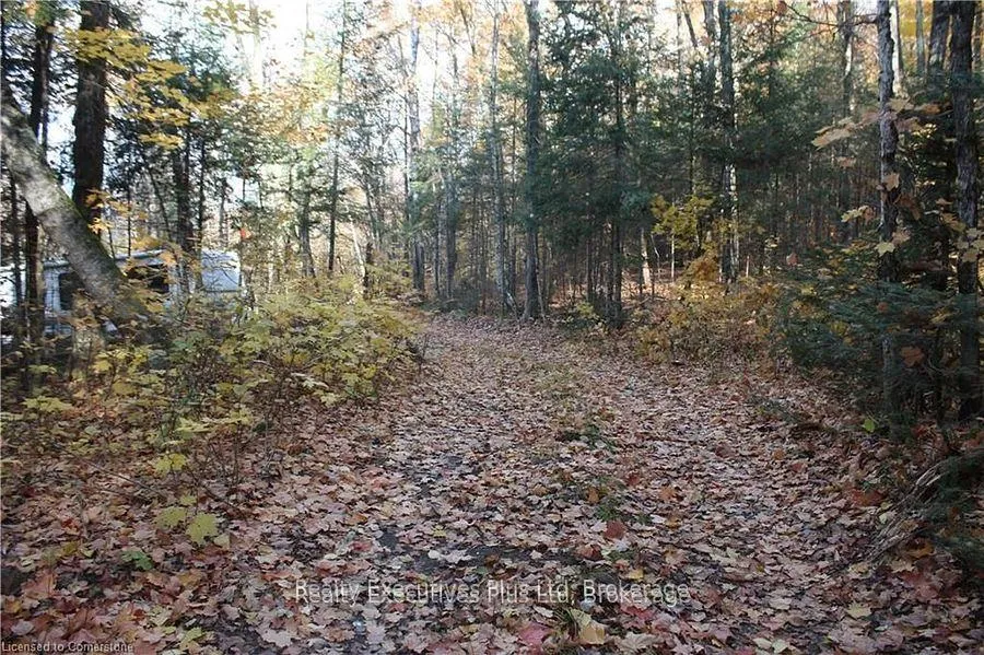 Photo 4 of 00 Ottawa Avenue, Machar — HOMEH