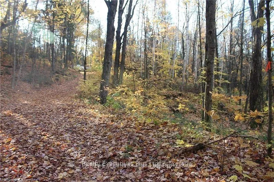 Photo 5 of 00 Ottawa Avenue, Machar — HOMEH