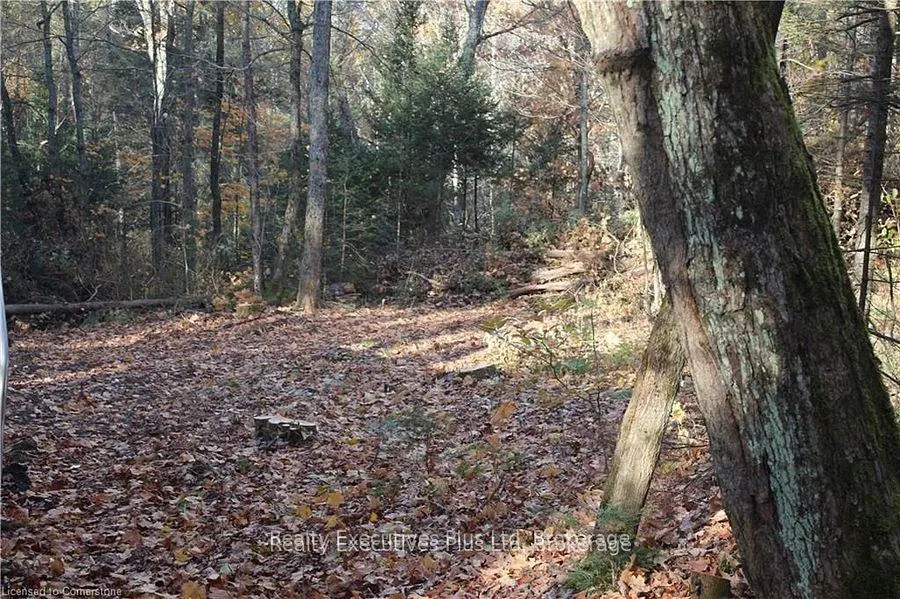 Photo 8 of 00 Ottawa Avenue, Machar — HOMEH