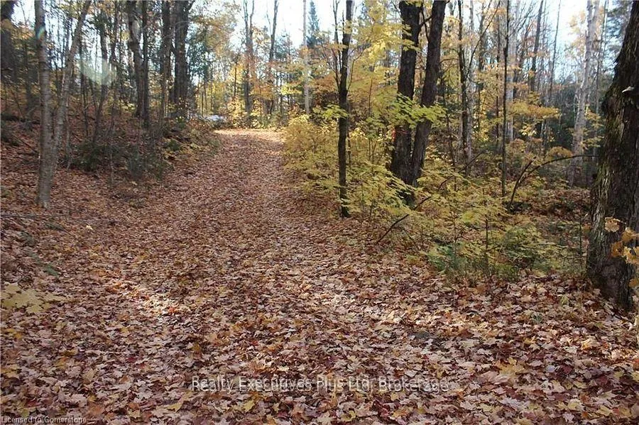 Photo 9 of 00 Ottawa Avenue, Machar — HOMEH