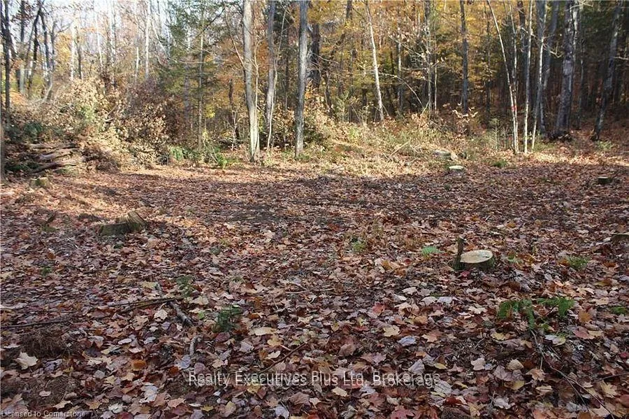 Photo 10 of 00 Ottawa Avenue, Machar — HOMEH