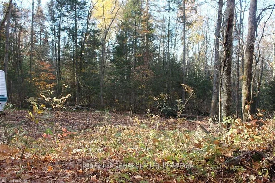 Photo 12 of 00 Ottawa Avenue, Machar — HOMEH