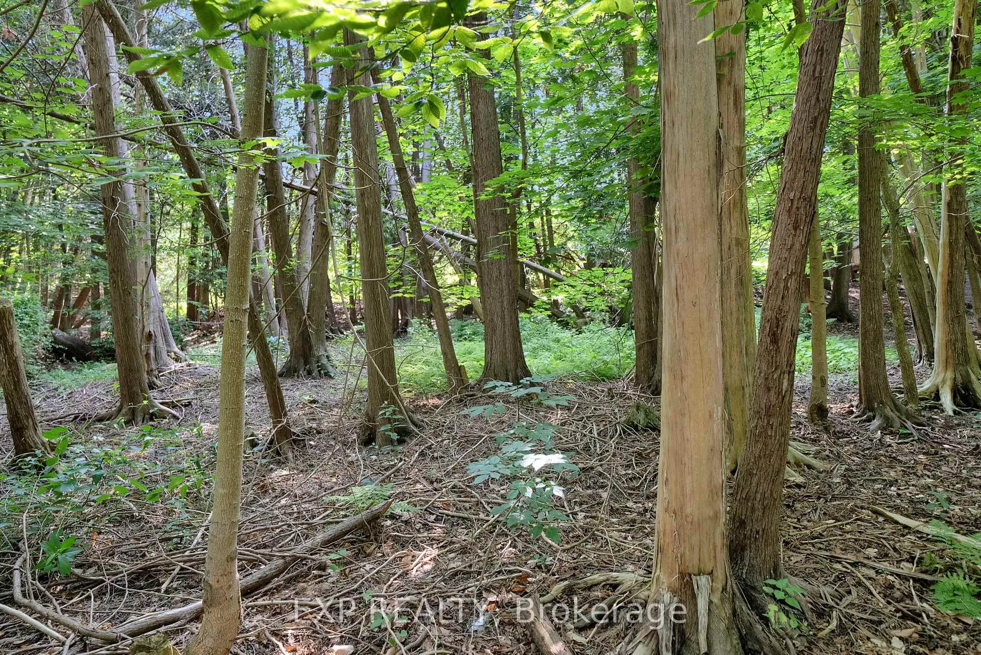 Photo 42 of 3253 Tooley Road, Clarington, Courtice — HOMEH