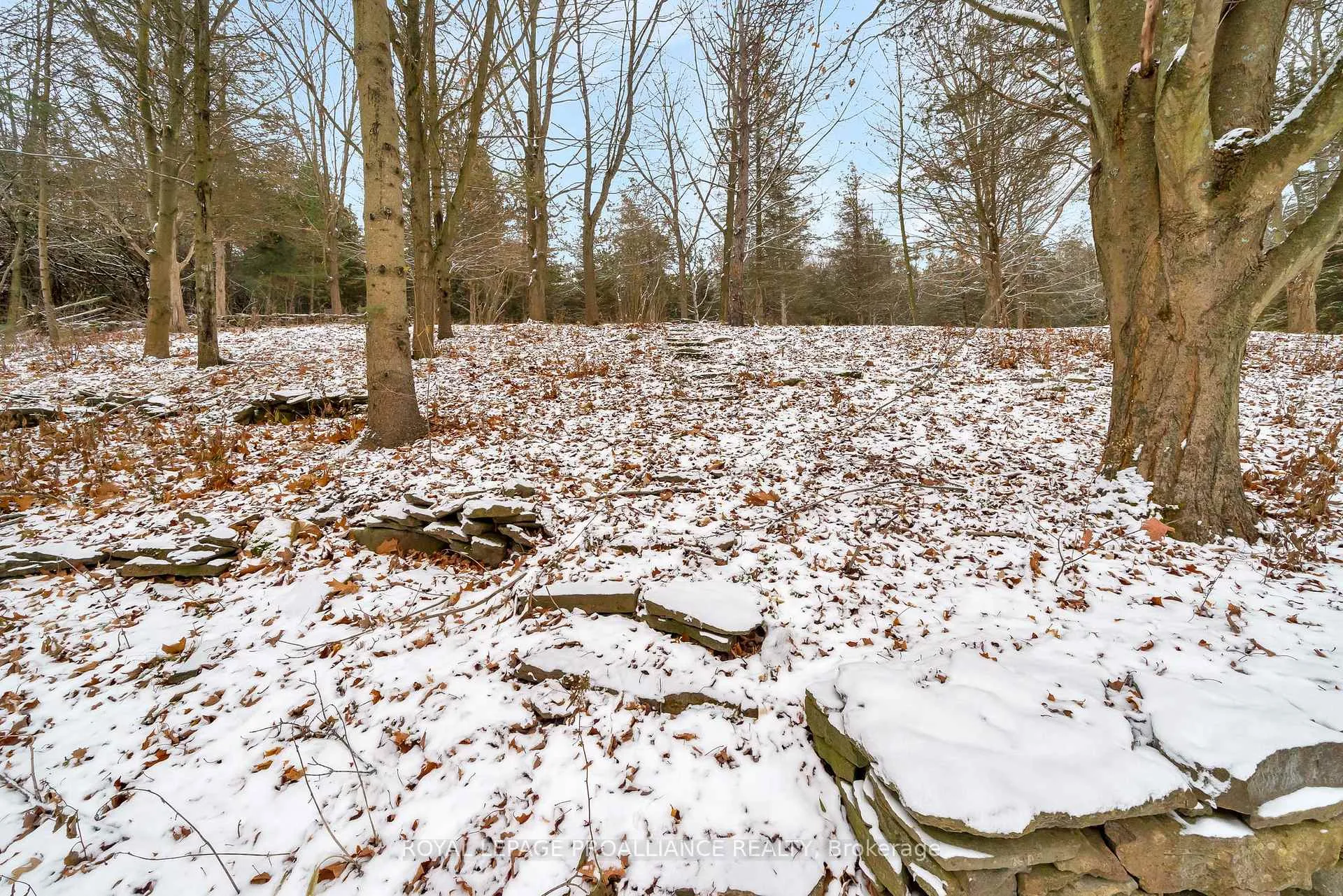 Photo 38 of 1237 Victoria Road, Prince Edward County, Ameliasburg Ward — HOMEH