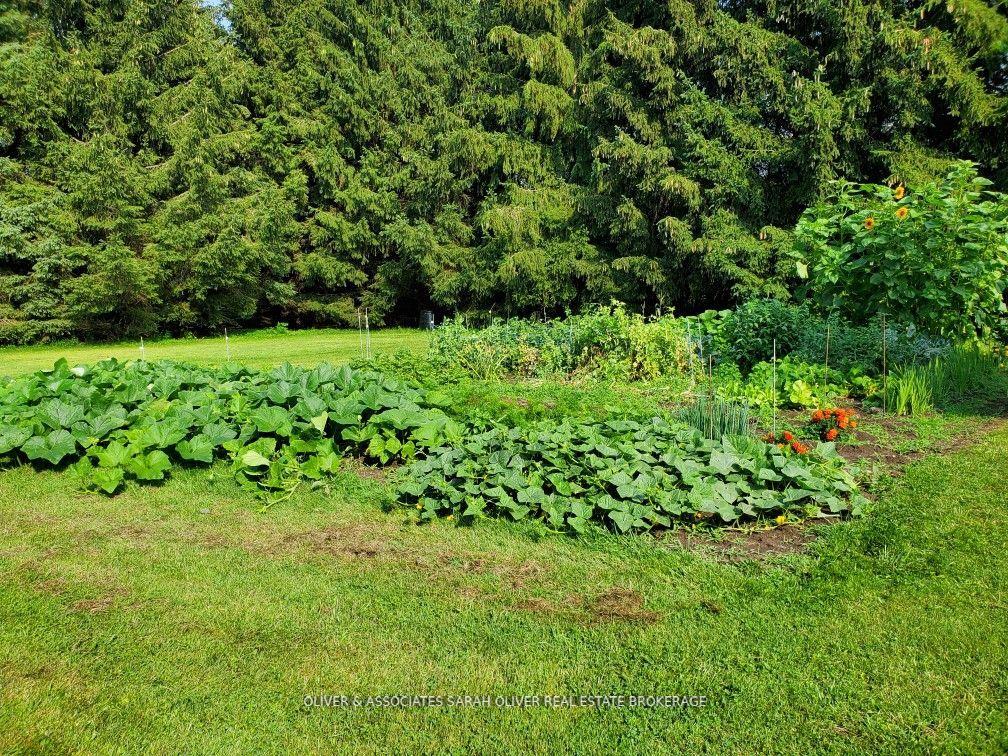 Photo 30 of 5367 Cobble Hills Road, Thames Centre, Rural Thames Centre — HOMEH