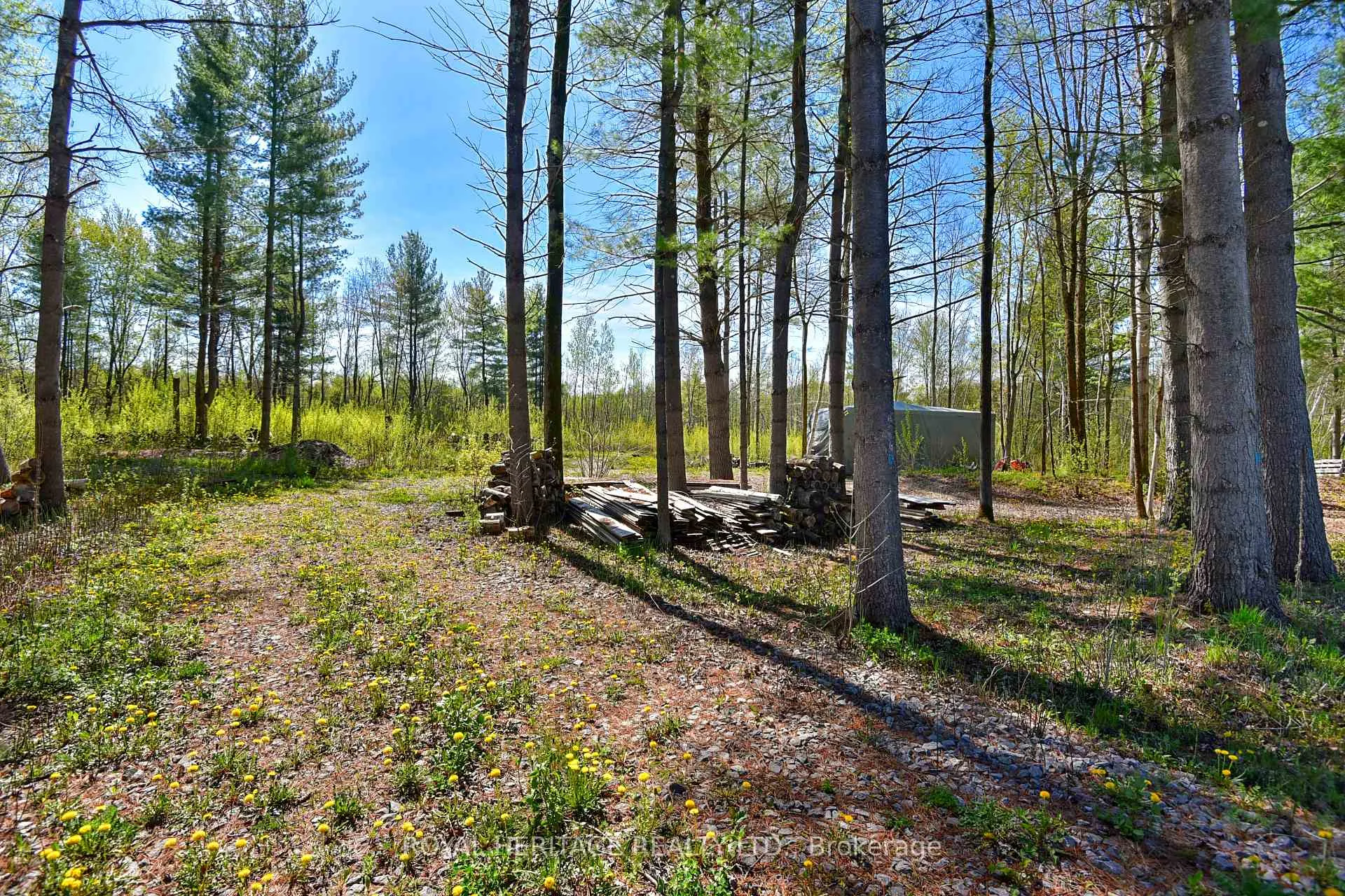 Photo 6 of 2449 Rooney Road E, Edwardsburgh/Cardinal, Edwardsburgh/Cardinal Twp — HOMEH