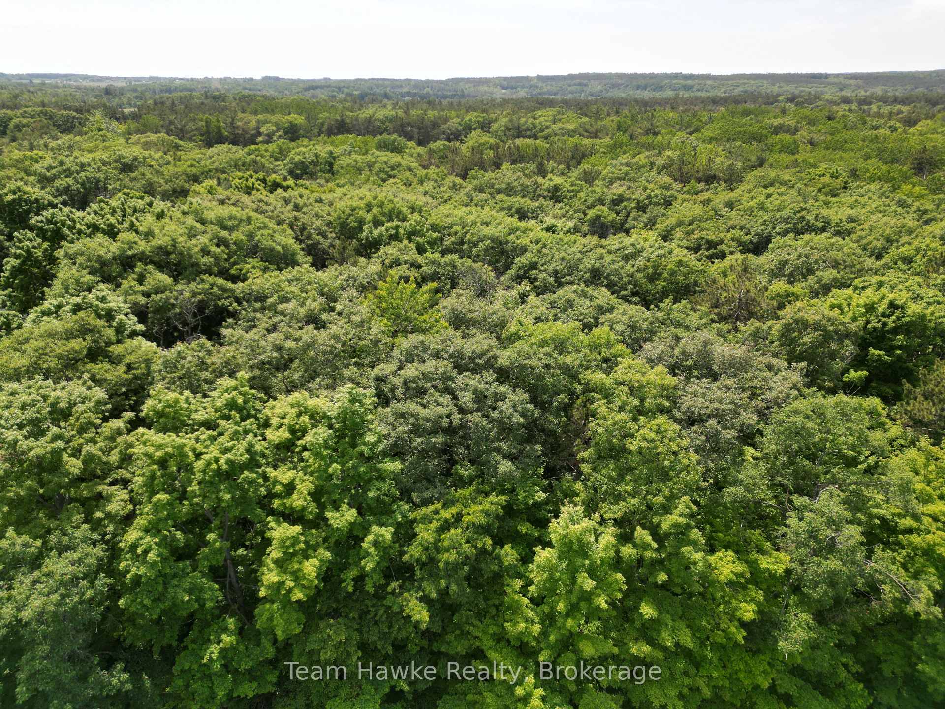 Photo 1 of 4 Overhead Bridge Road, Tiny, Rural Tiny — HOMEH