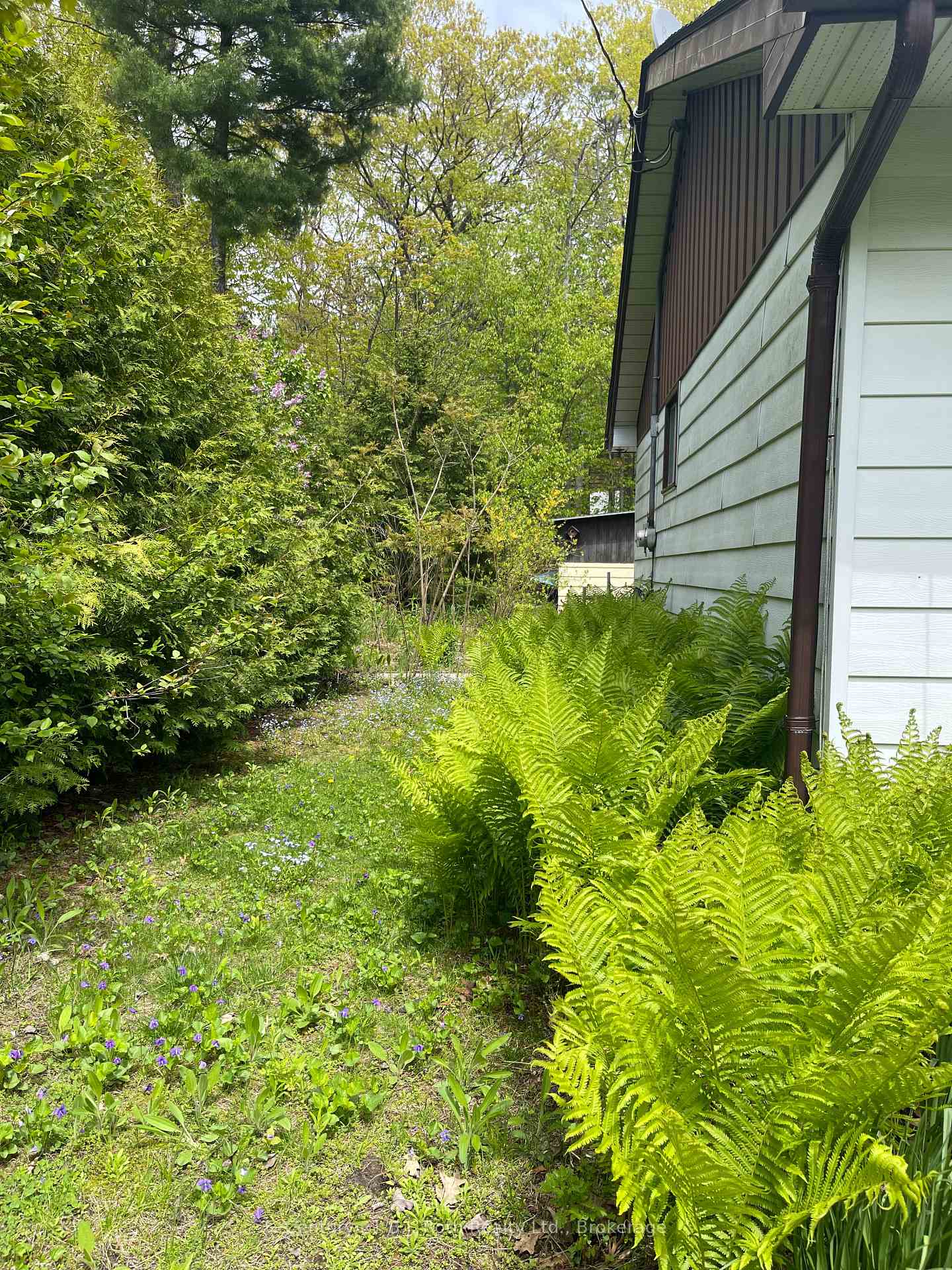 Photo 30 of 5 Delbrooke Court, Tiny, Rural Tiny — HOMEH