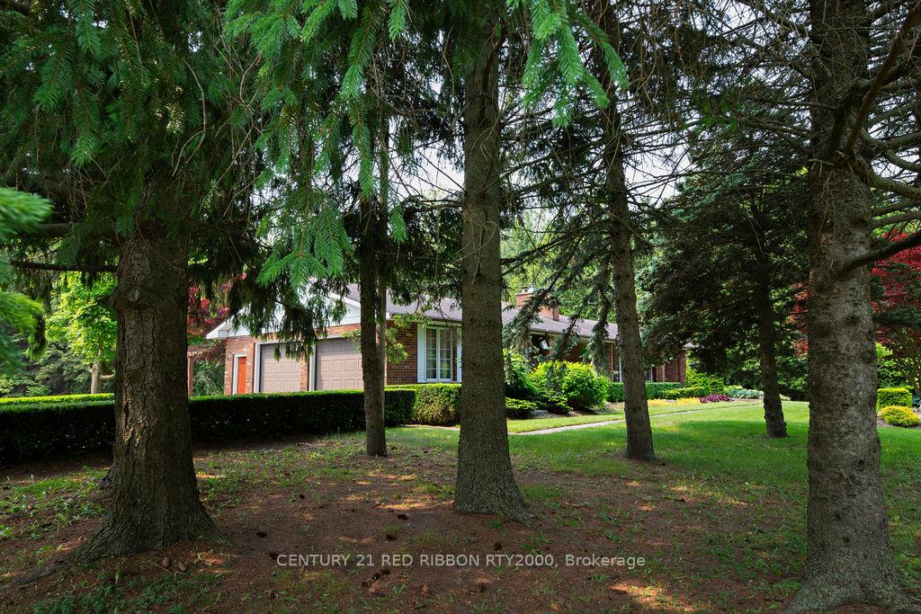 Photo 50 of 24387 Saxton Road, Strathroy-Caradoc, Rural Strathroy-Caradoc — HOMEH