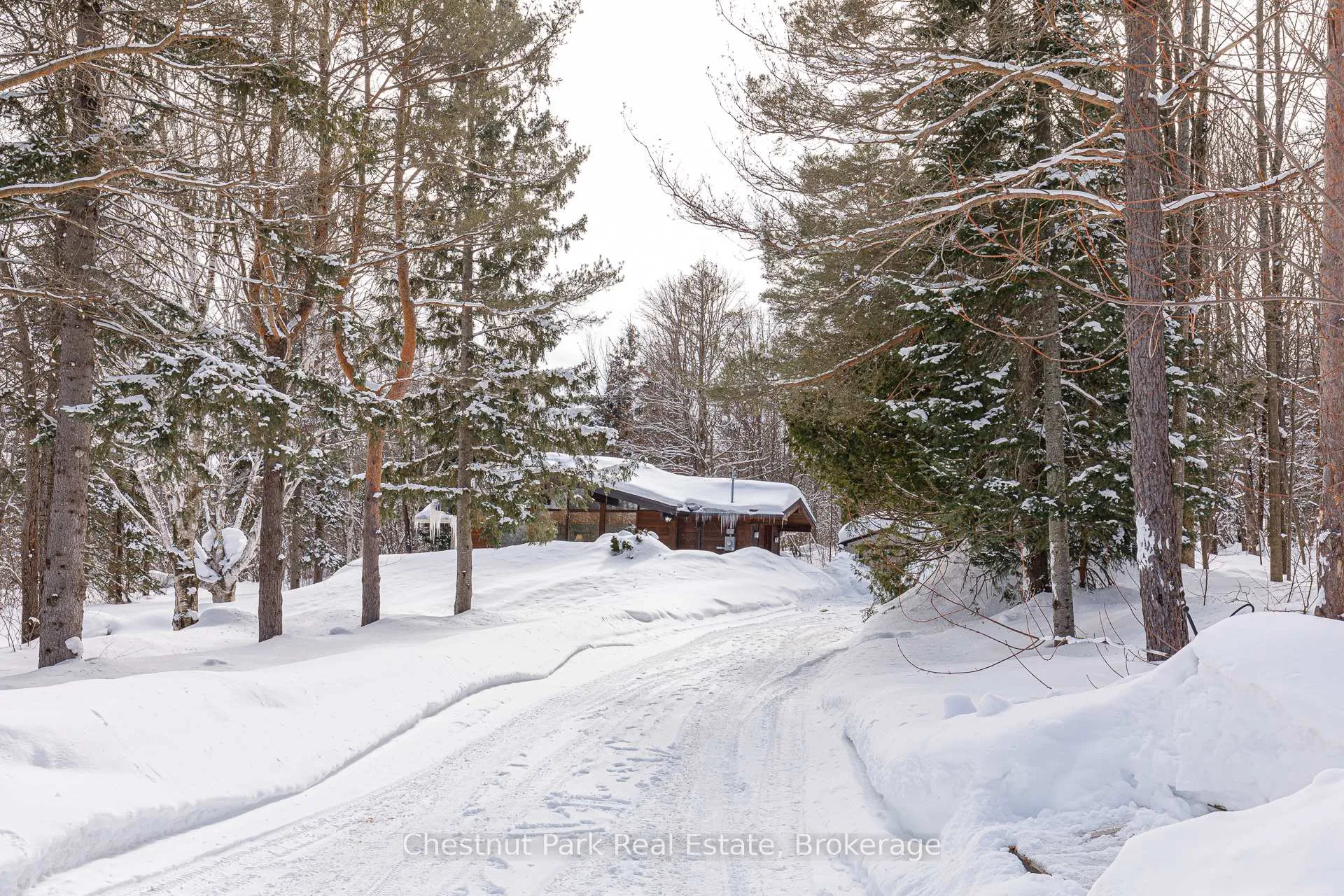 Photo 8 of 116 Castleview Road, Blue Mountains — HOMEH