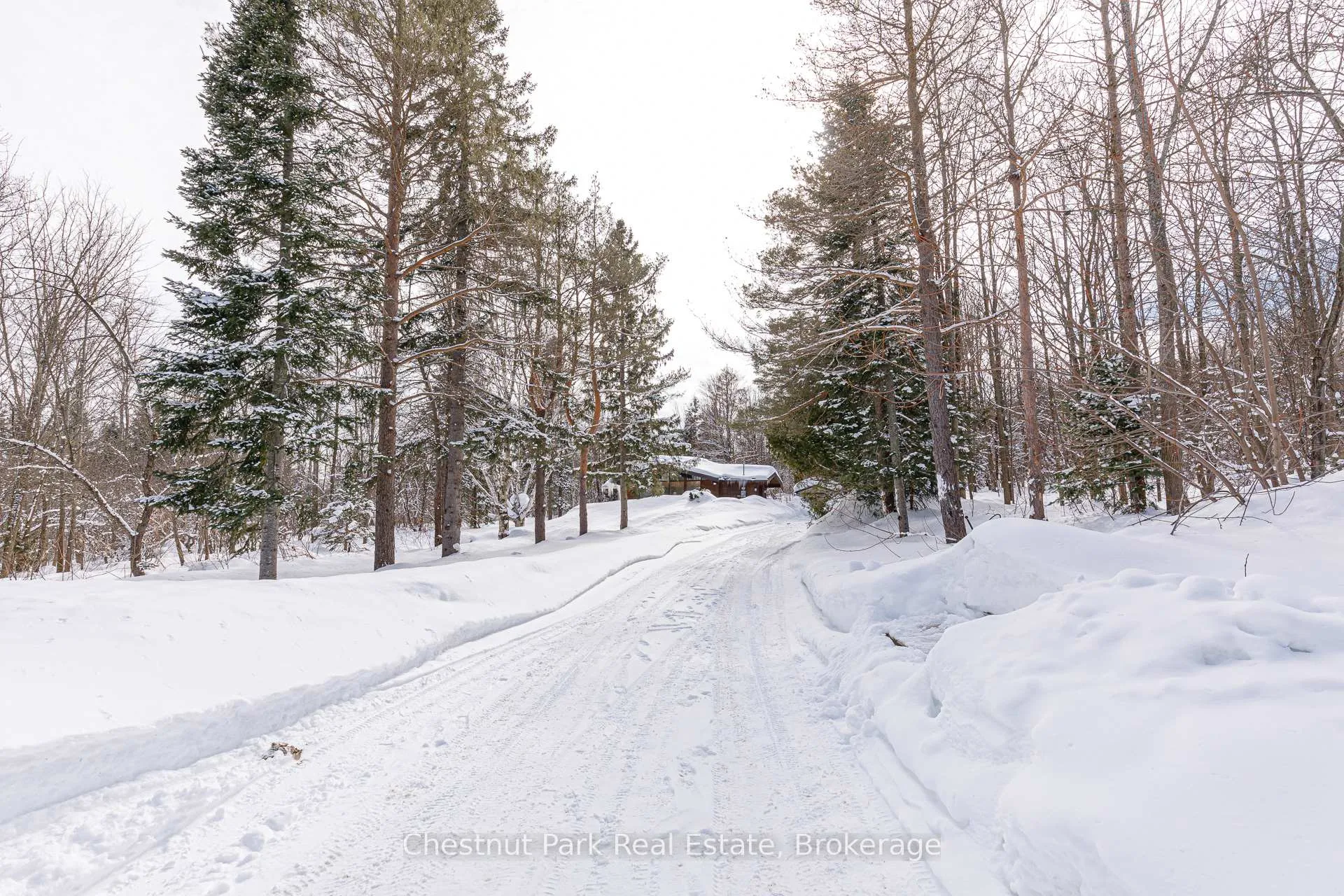 Photo 9 of 116 Castleview Road, Blue Mountains — HOMEH