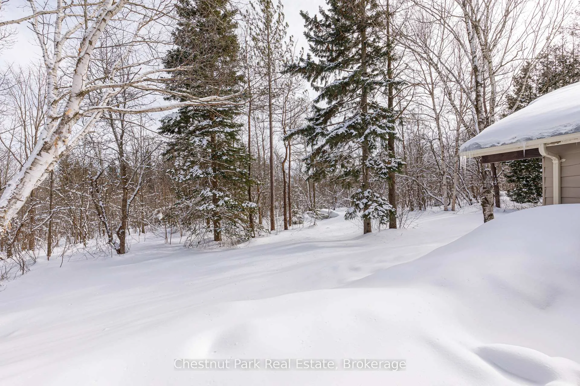 Photo 39 of 116 Castleview Road, Blue Mountains — HOMEH