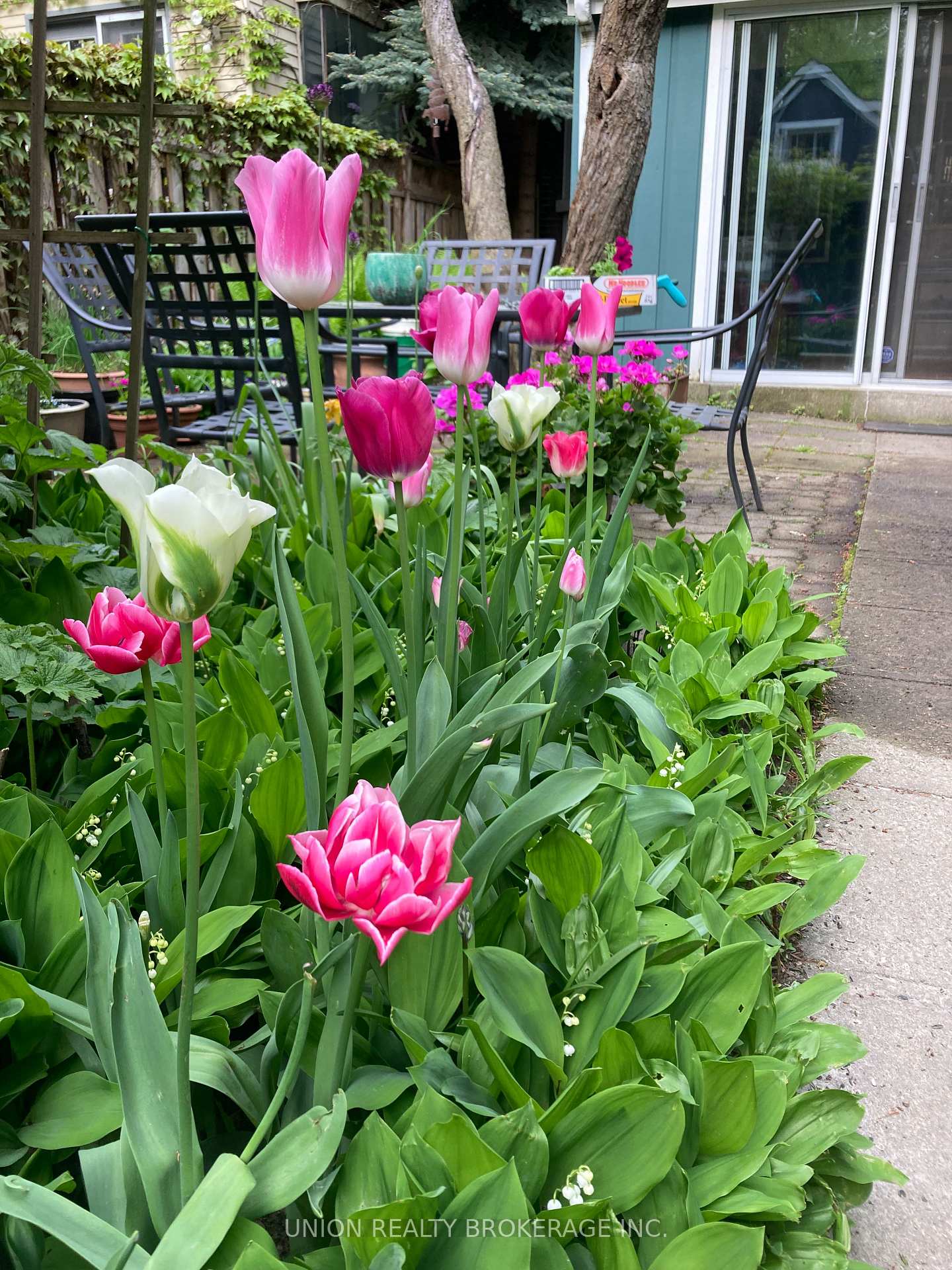 Photo 24 of 76 Brooklyn Avenue, Toronto, South Riverdale — HOMEH