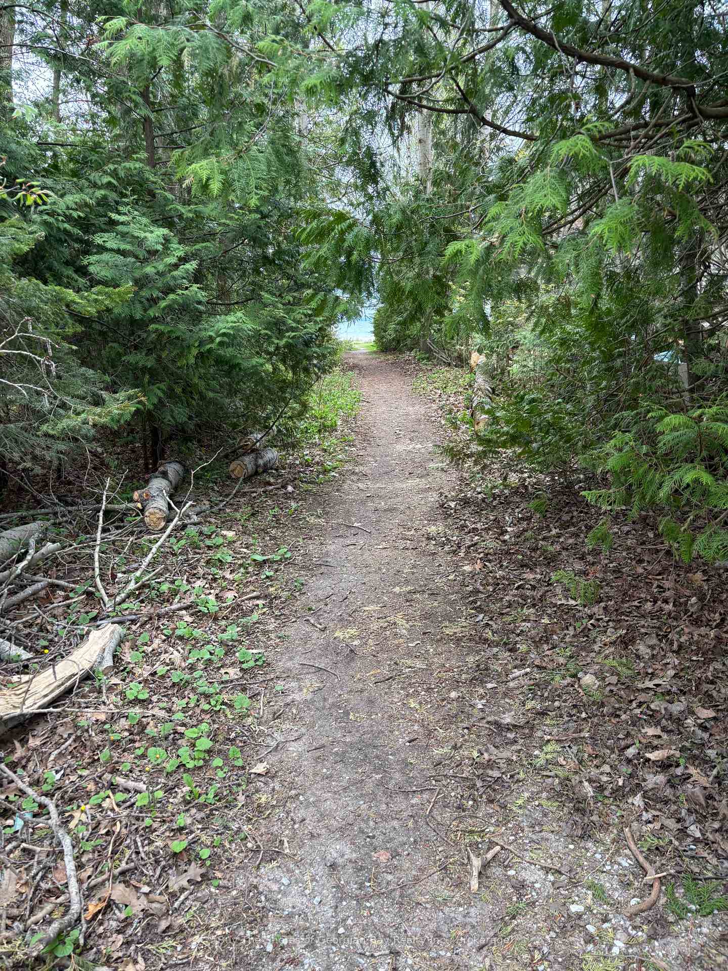 Photo 19 of 41 Lindale Avenue, Tiny, Rural Tiny — HOMEH