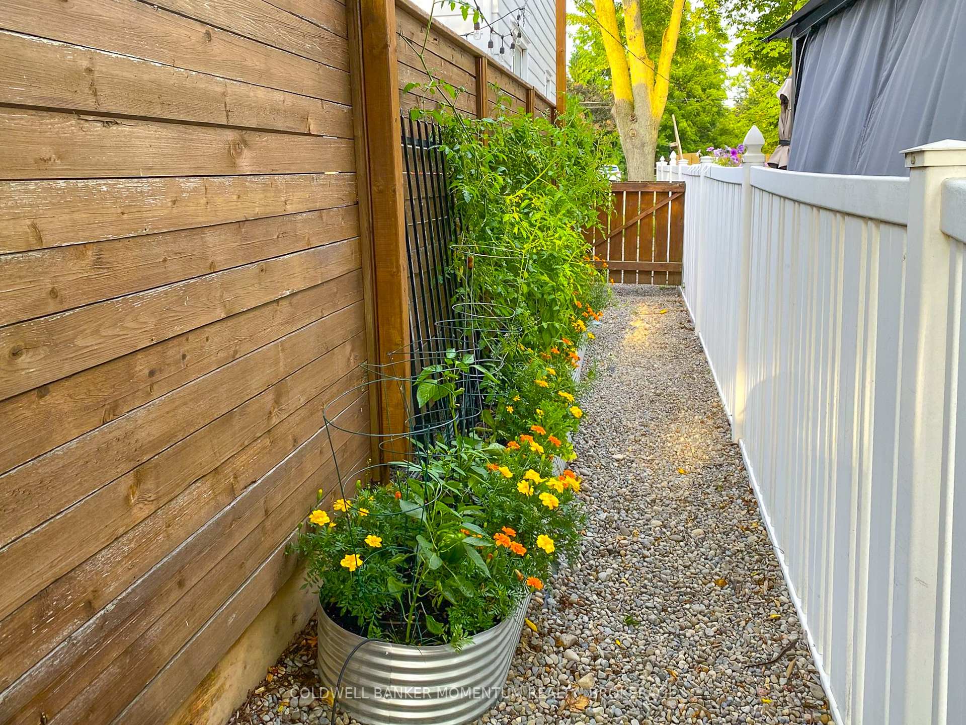Photo 42 of 21 Carleton Street S, Thorold, Thorold Downtown — HOMEH