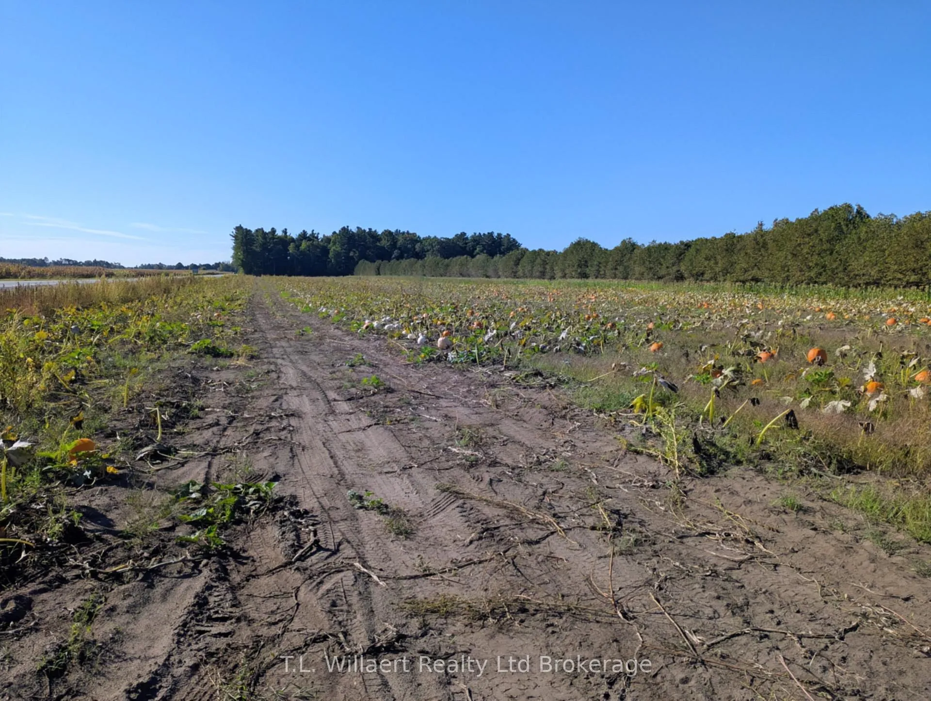 Photo 1 of 7343 Plank Road, Bayham, Straffordville — HOMEH