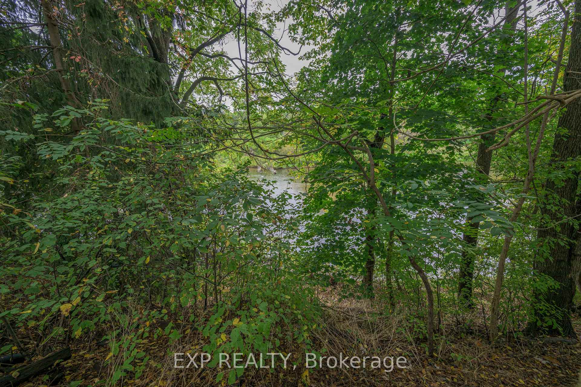 Photo 36 of 4118 Hamilton Road, Thames Centre, Dorchester — HOMEH