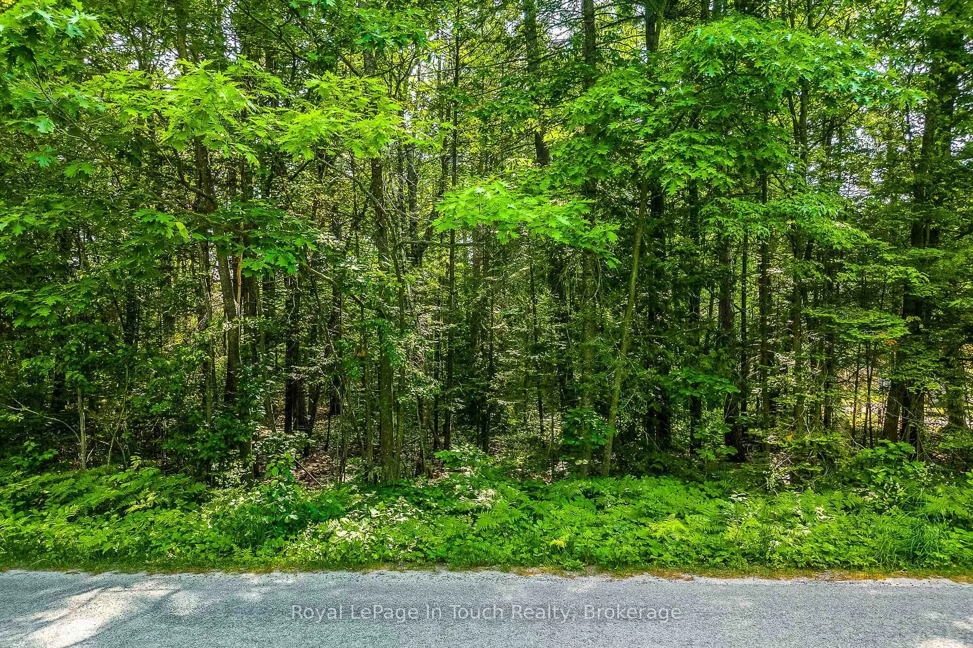 Photo 5 of LOT 47 Trout Lane, Tiny, Rural Tiny — HOMEH