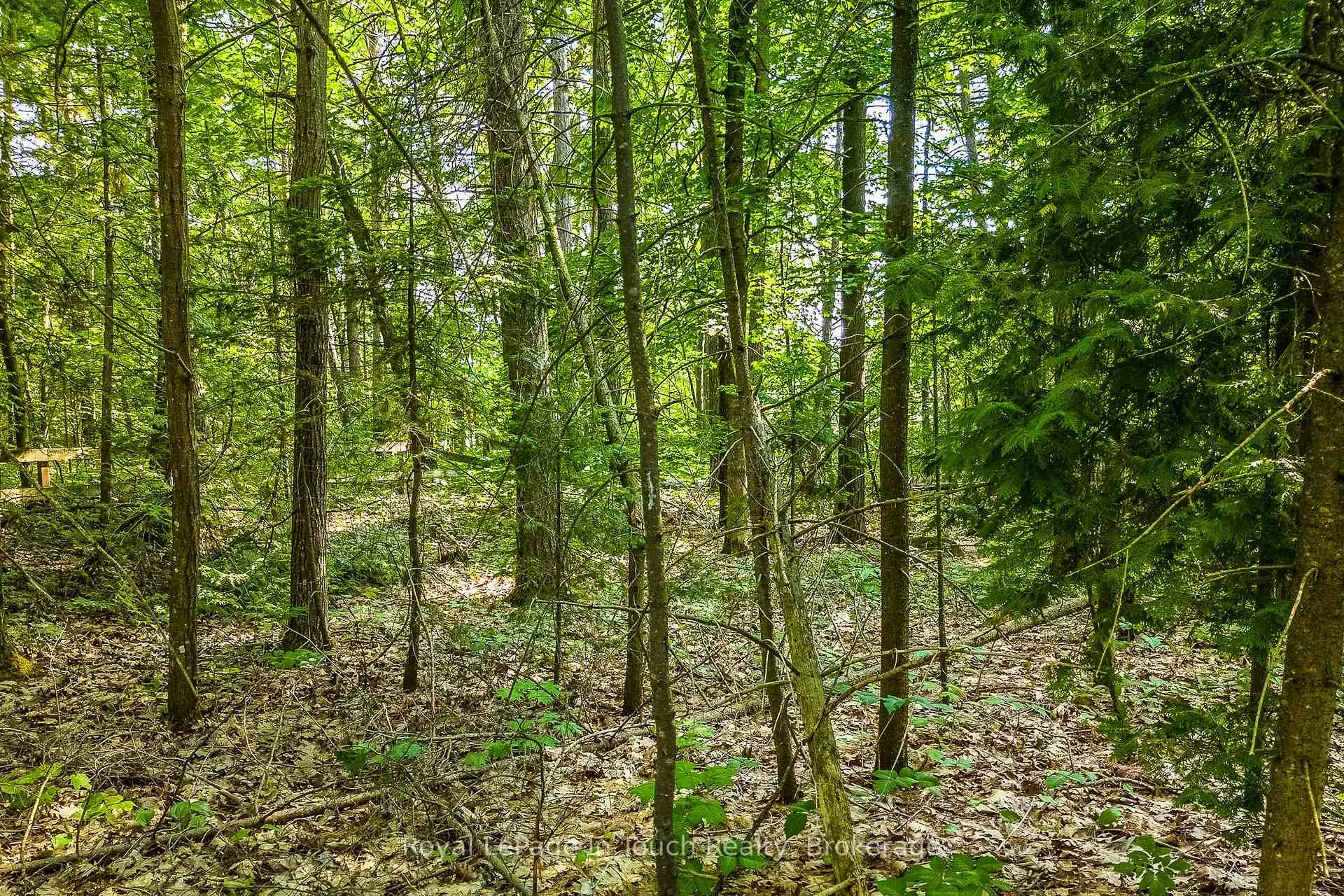 Photo 7 of LOT 47 Trout Lane, Tiny, Rural Tiny — HOMEH