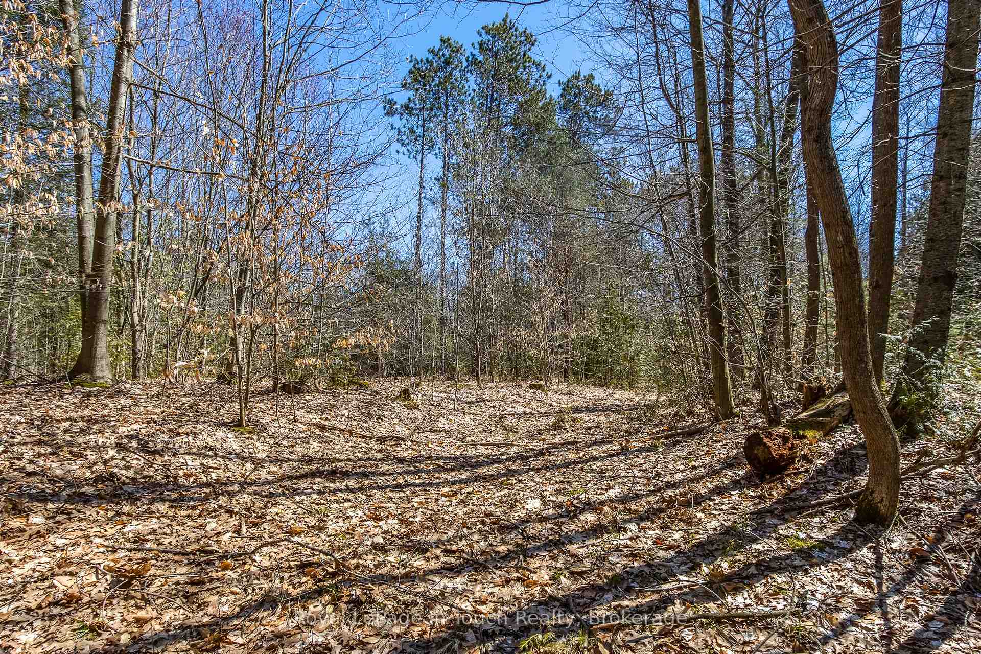 Photo 7 of LOT 4 Rue Karola Road, Tiny, Rural Tiny — HOMEH