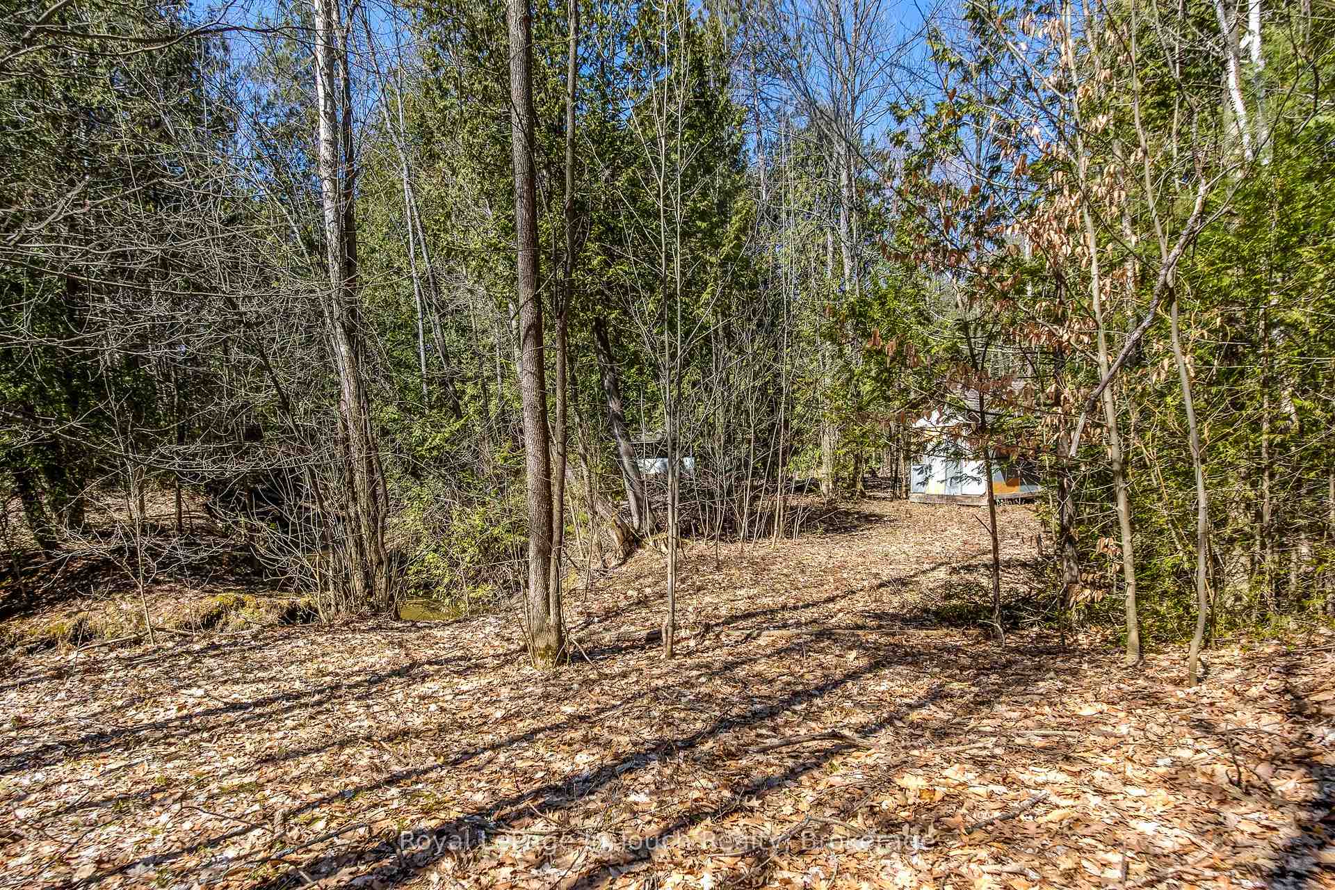 Photo 8 of LOT 4 Rue Karola Road, Tiny, Rural Tiny — HOMEH