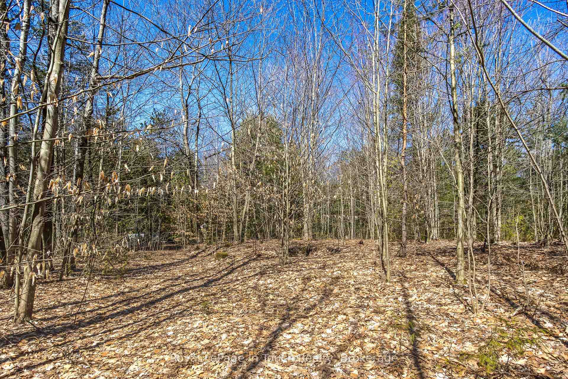 Photo 9 of LOT 4 Rue Karola Road, Tiny, Rural Tiny — HOMEH