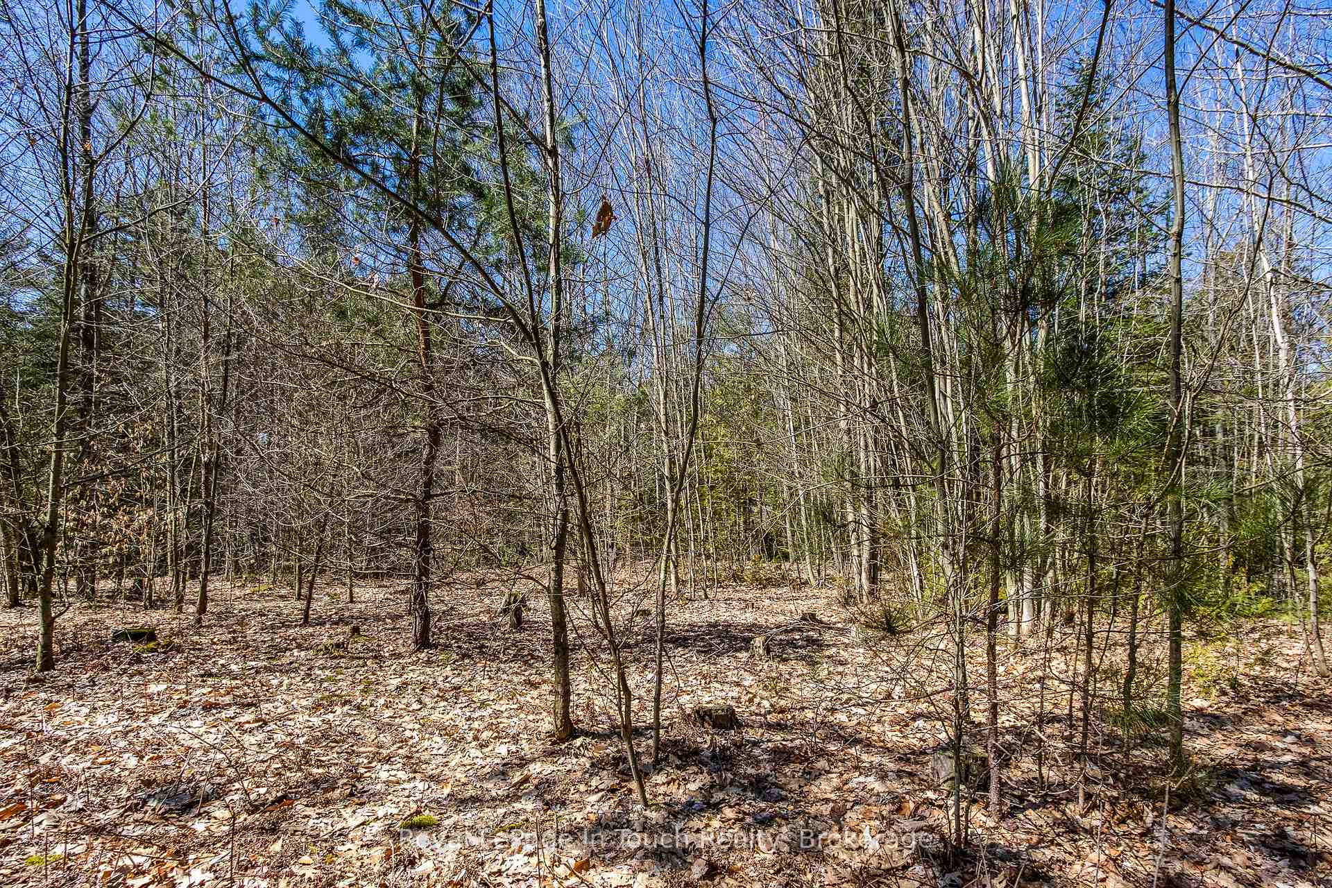 Photo 10 of LOT 4 Rue Karola Road, Tiny, Rural Tiny — HOMEH