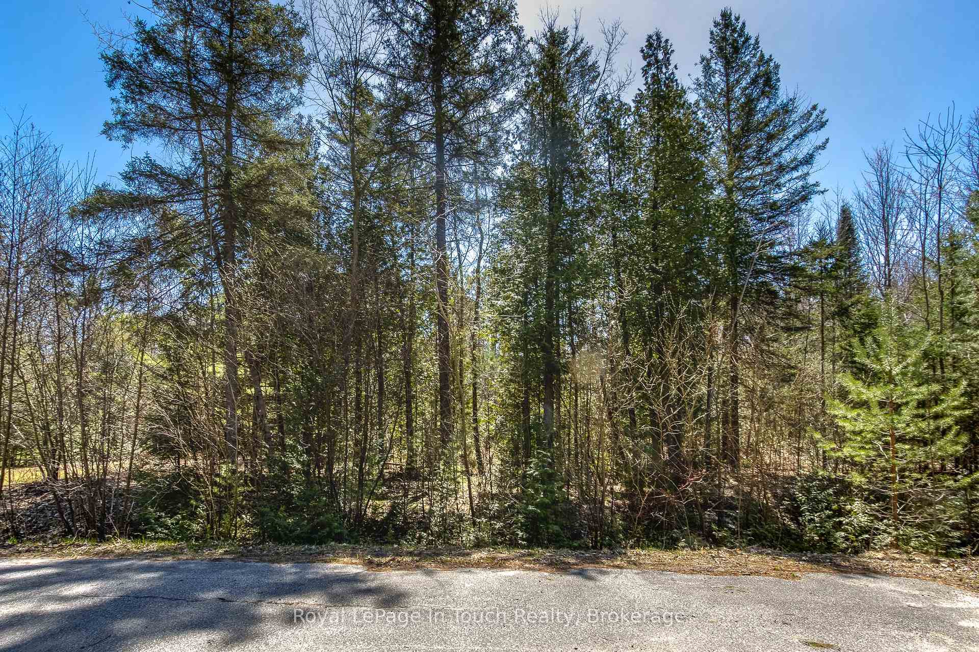 Photo 11 of LOT 4 Rue Karola Road, Tiny, Rural Tiny — HOMEH