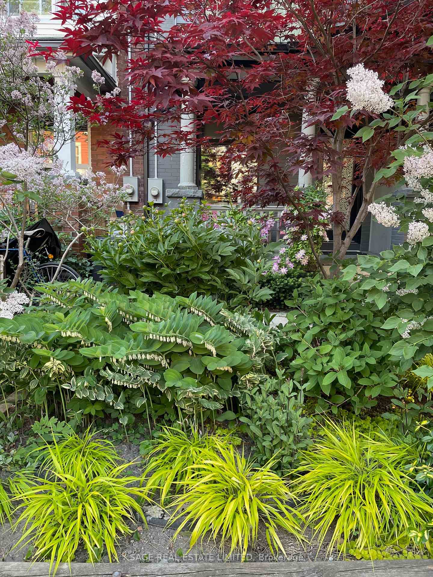 Photo 2 of 36 Bellwoods Avenue, Toronto, Trinity-Bellwoods — HOMEH