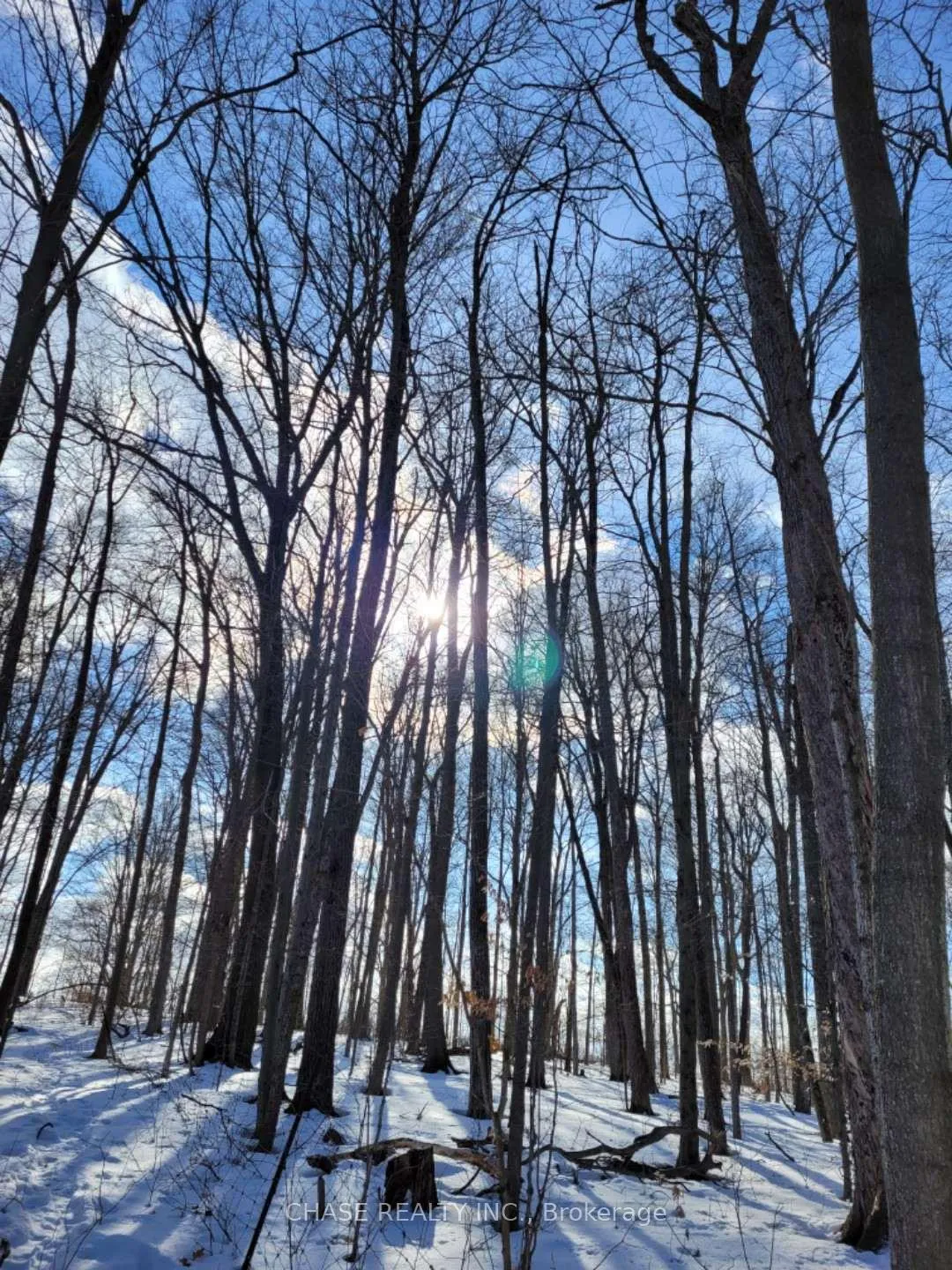 Photo 21 of 29 Unity Side Road, Haldimand — HOMEH