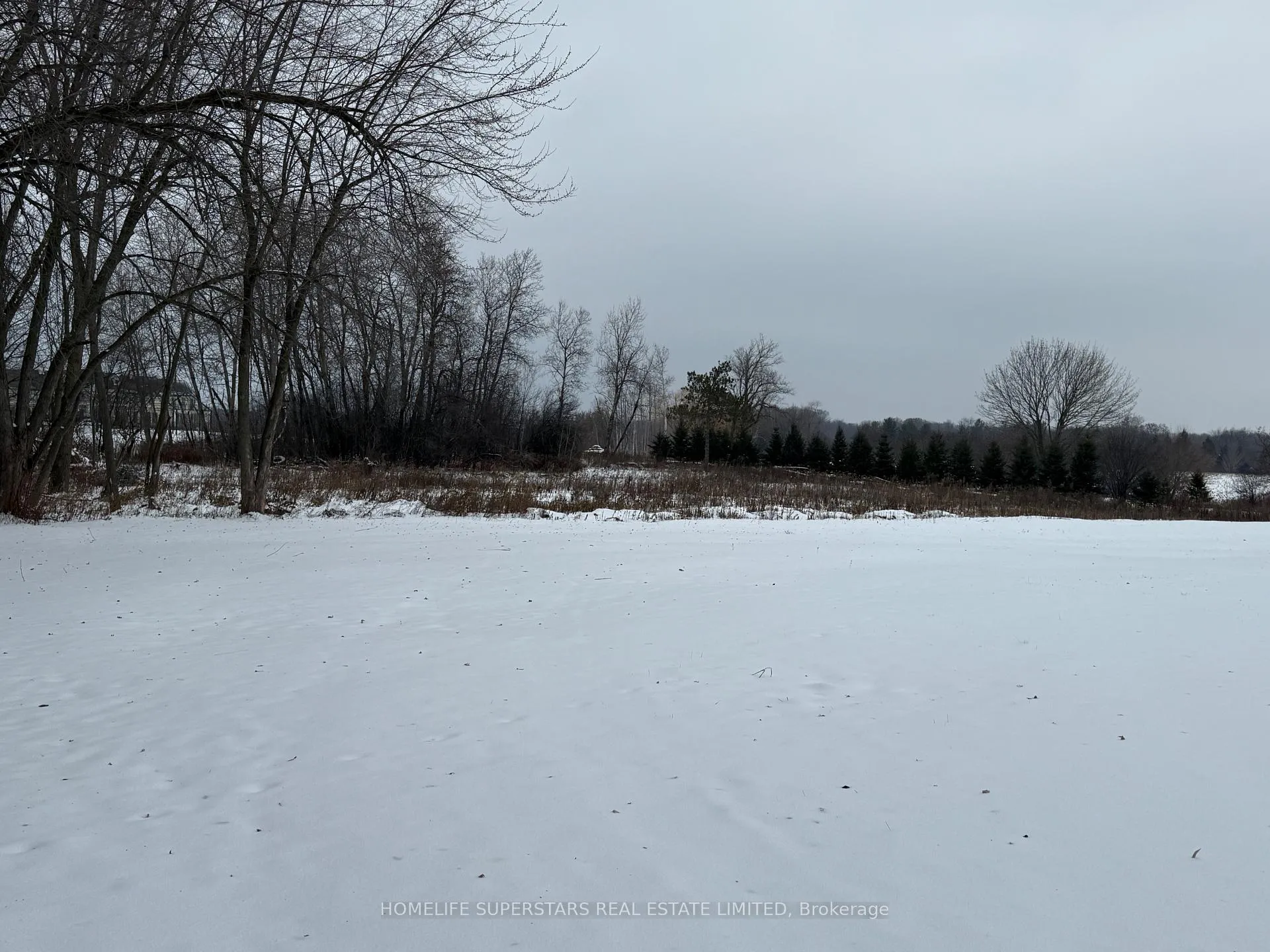 Photo 5 of 6764 Castlederg Side Road, Caledon, Rural Caledon — HOMEH