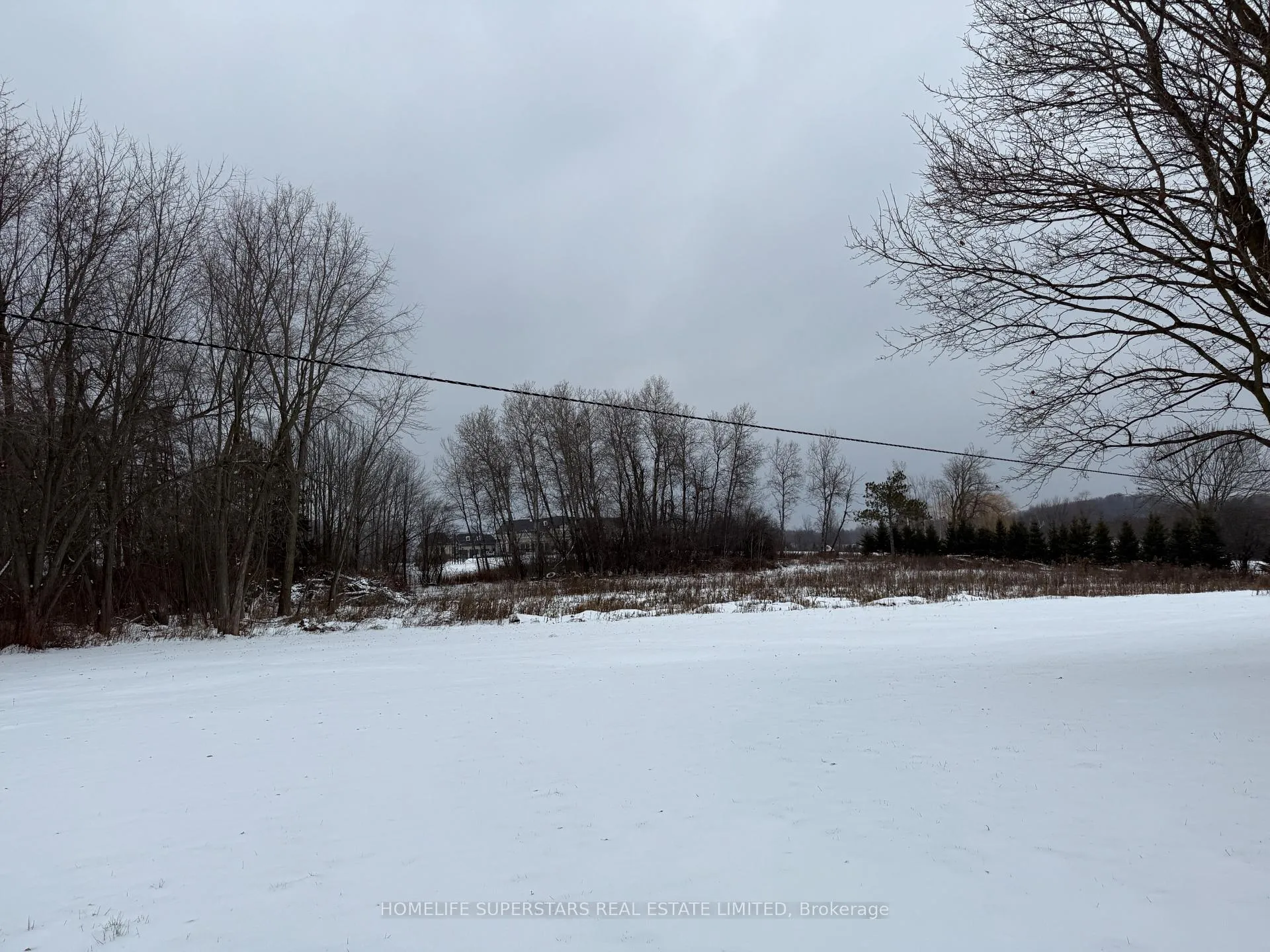 Photo 29 of 6764 Castlederg Side Road, Caledon, Rural Caledon — HOMEH