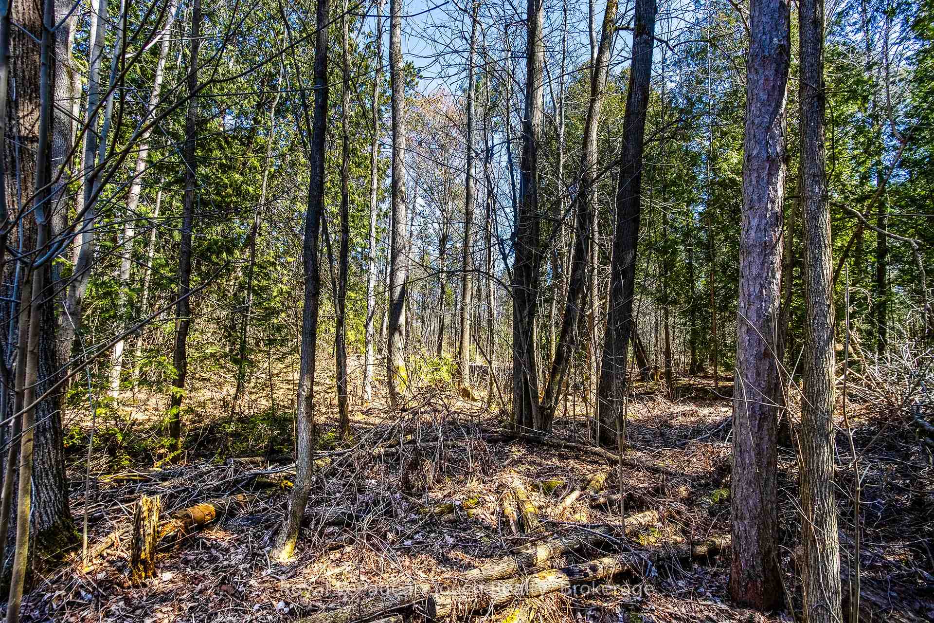 Photo 8 of LOT 1 Rue Karola Road, Tiny, Rural Tiny — HOMEH